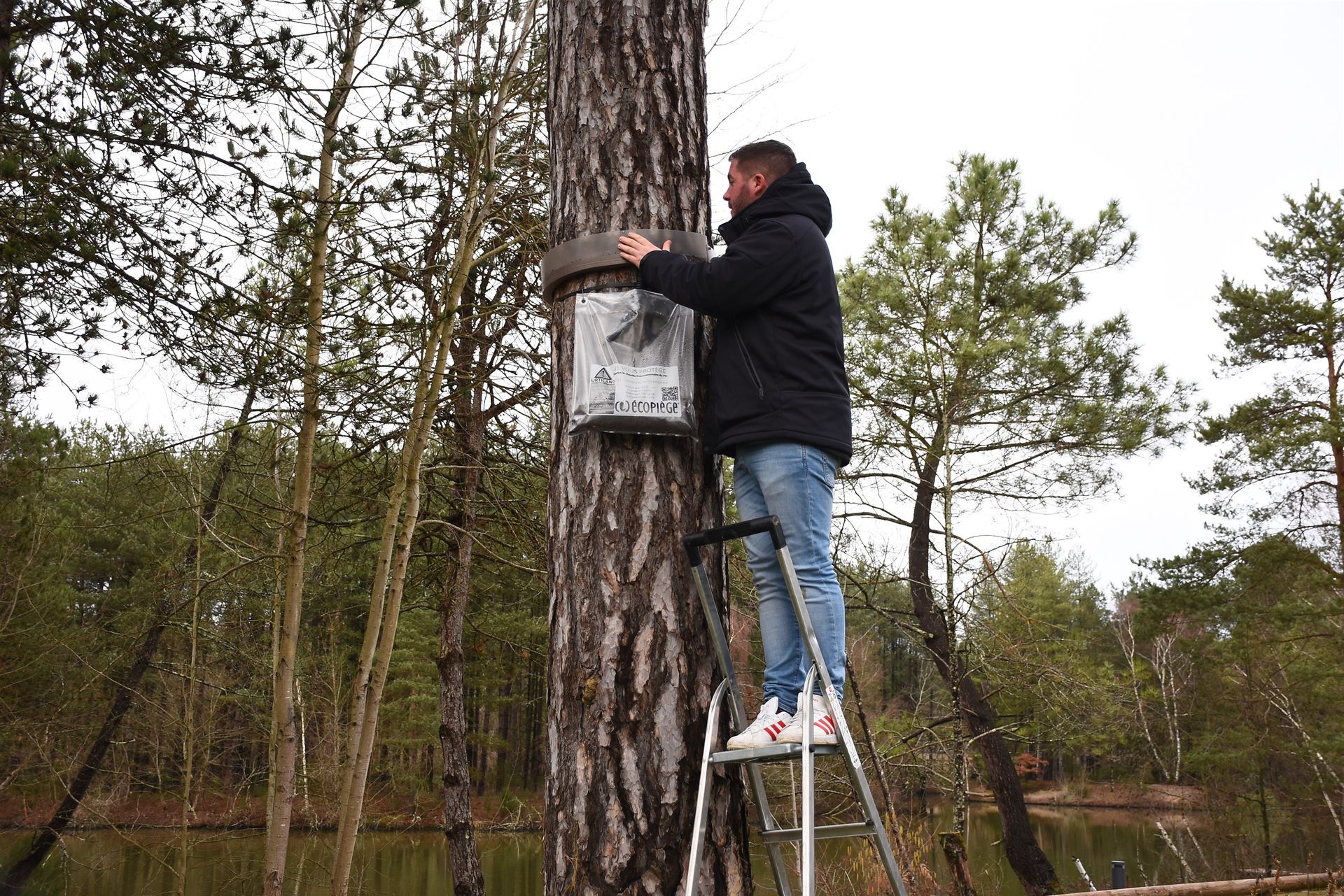 mise en place d'un Collier Ecopiège