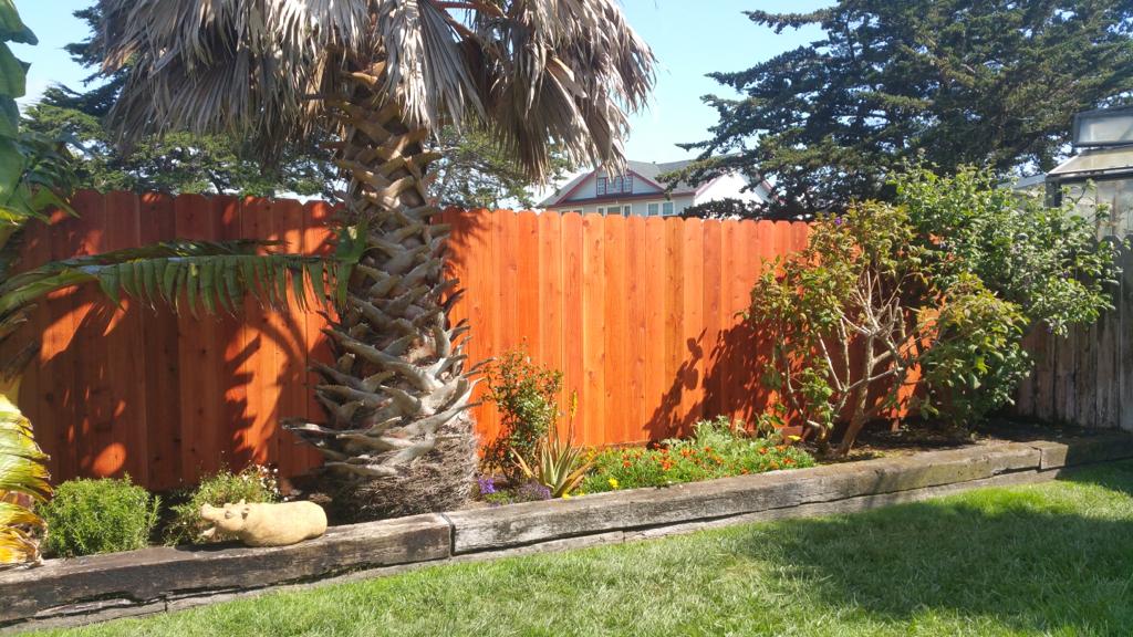 Beautiful Backyard Wooden Fence — Belmont, CA — ASG Complete Landscape