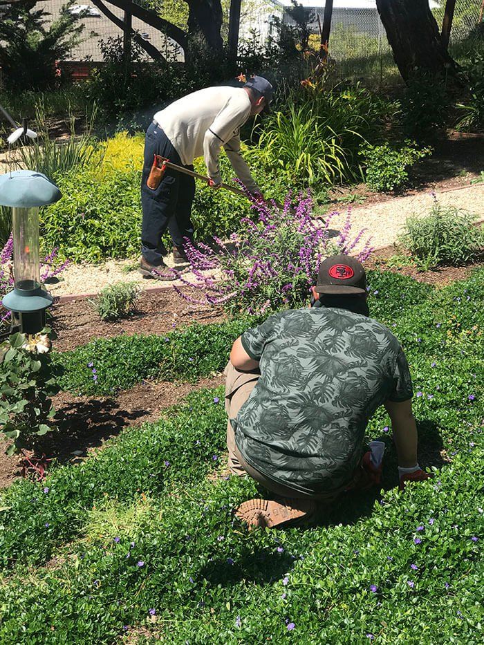 Landscaping — Belmont, CA — ASG Complete Landscape