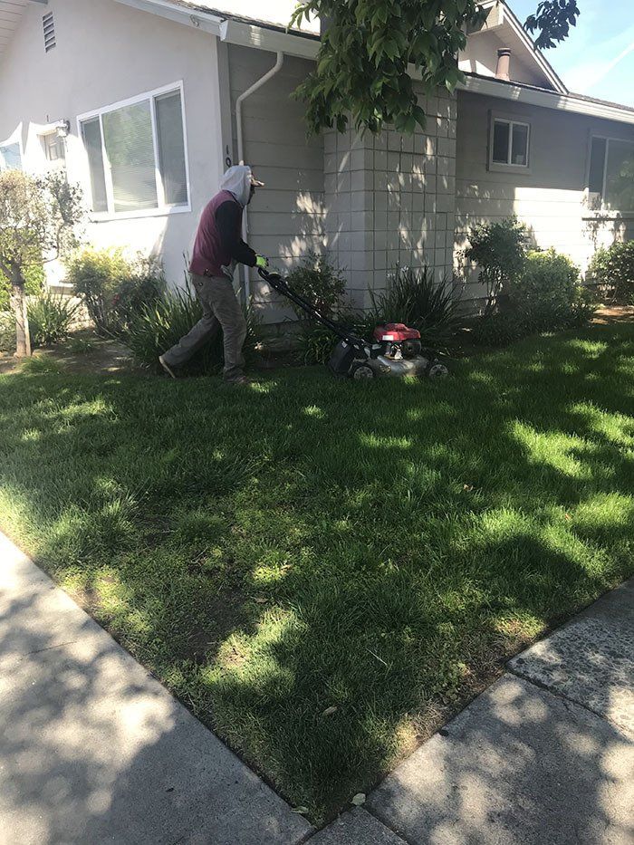 Lawn Maintenance — Belmont, CA — ASG Complete Landscape