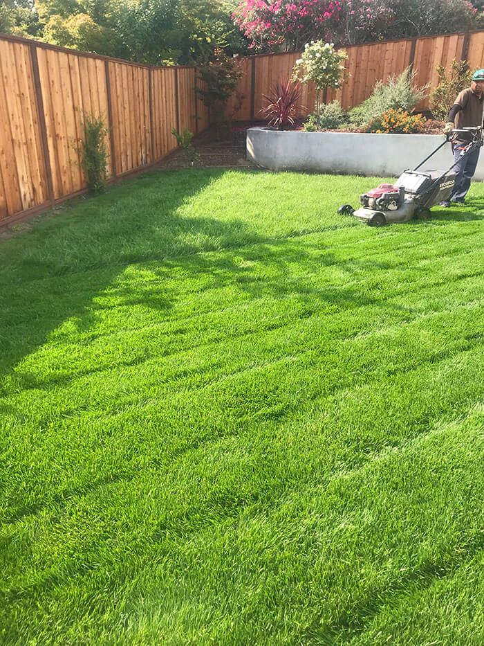 Lawn Mower — Belmont, CA — ASG Complete Landscape