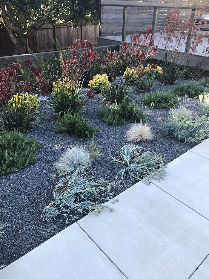 Xeriscaping — Belmont, CA — ASG Complete Landscape