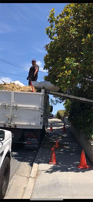 Yard Clean Up — Belmont, CA — ASG Complete Landscape