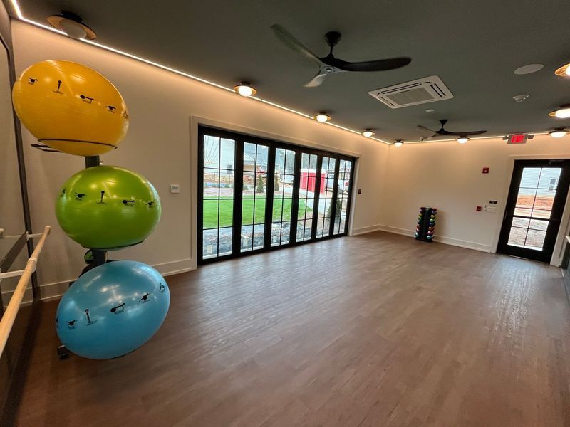 A fitness studio features a rack with yellow, green, and blue exercise balls, wood floors, and floor-to-ceiling windows.