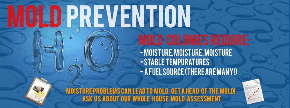 Missouri Mold Prevention