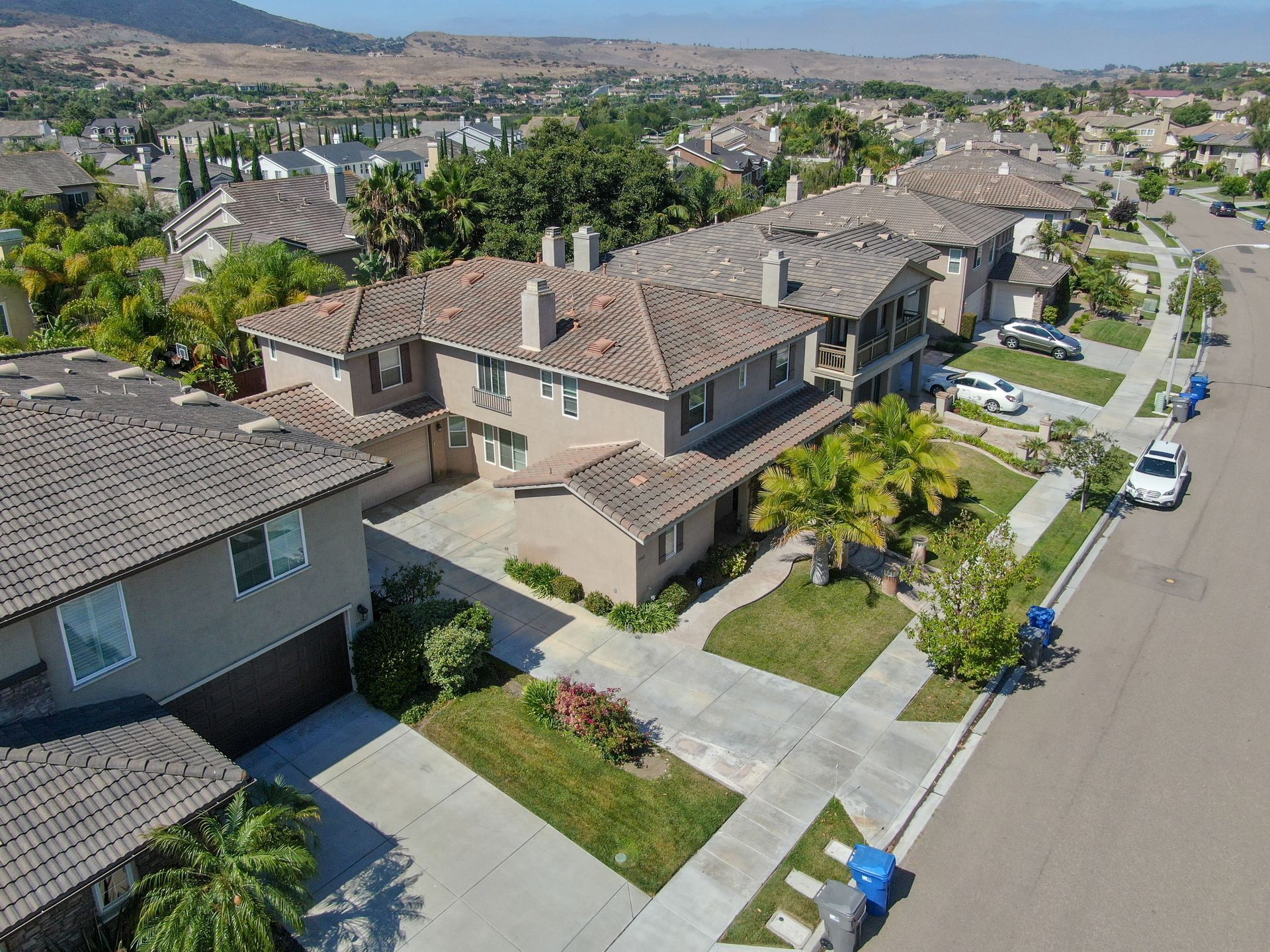 Green barn door, olive sofa, framed botanical print, plants, and industrial light fixture.