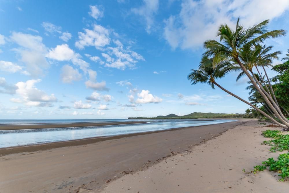 A Tropical Beach with Palm Trees and A Blue Sky — Mi-ekka Designs in Hamilton Island, QLD