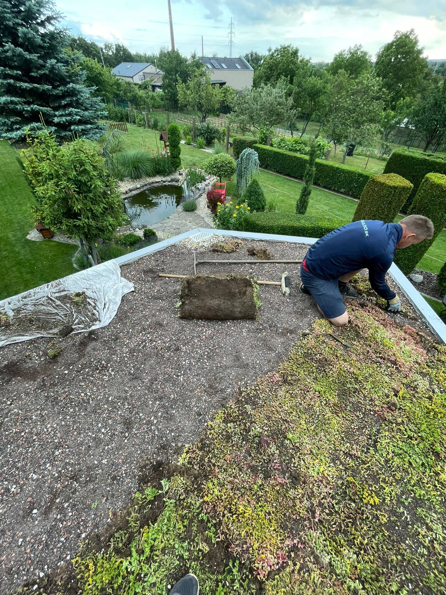 Extenzívna zelná strecha, Ťahanovce