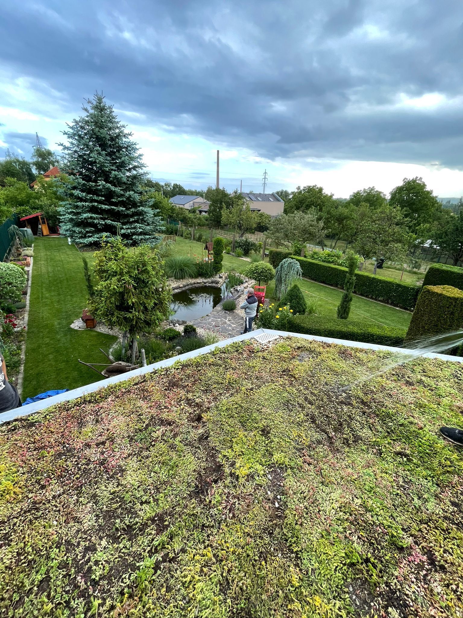 Extenzívna zelená strecha