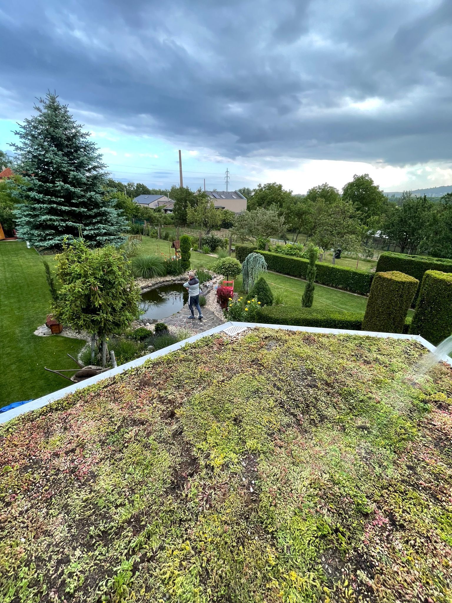 Extenzívna zelená strecha