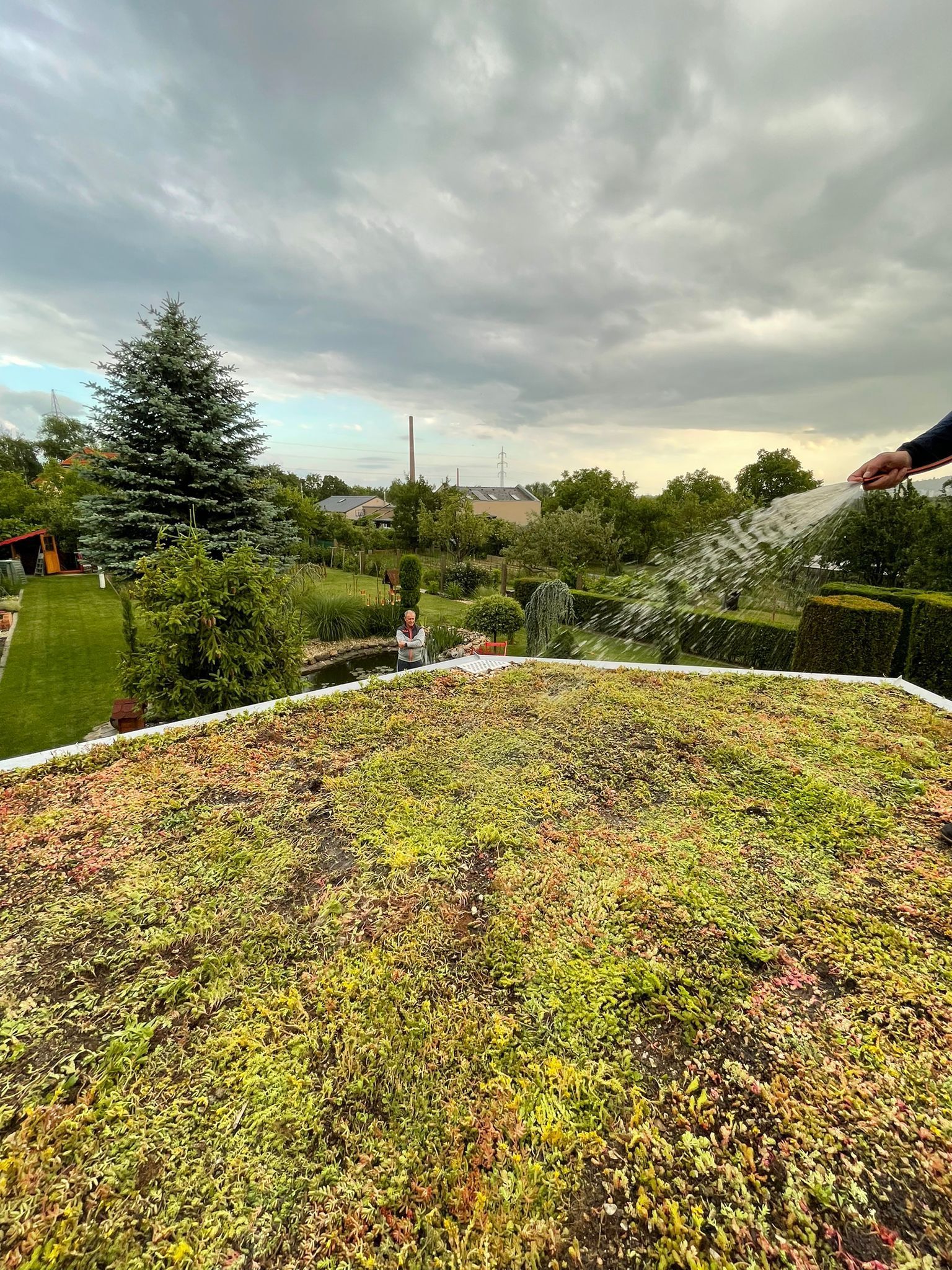 Extenzívna zelená strecha