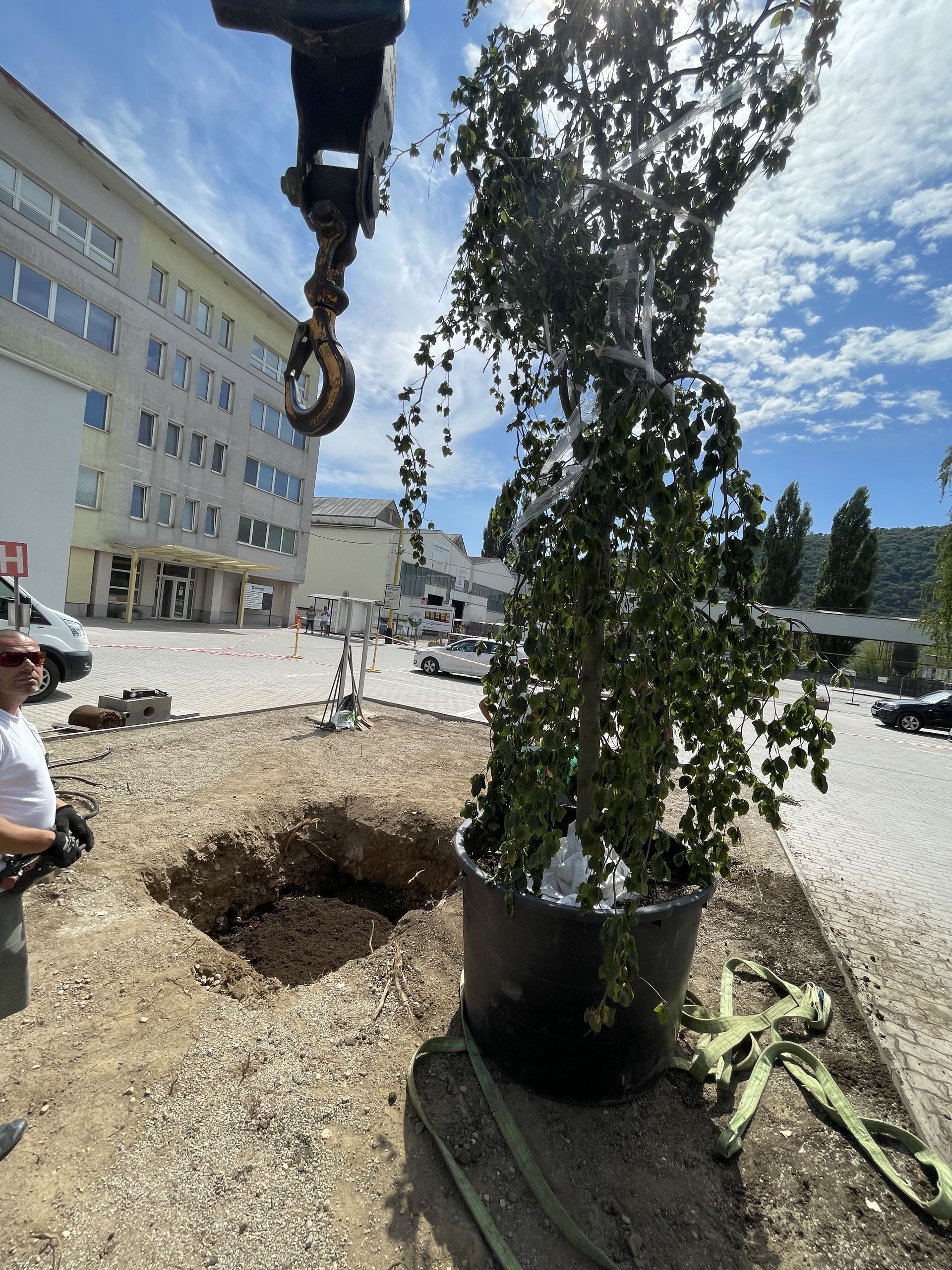 Extenzívna zelená strecha