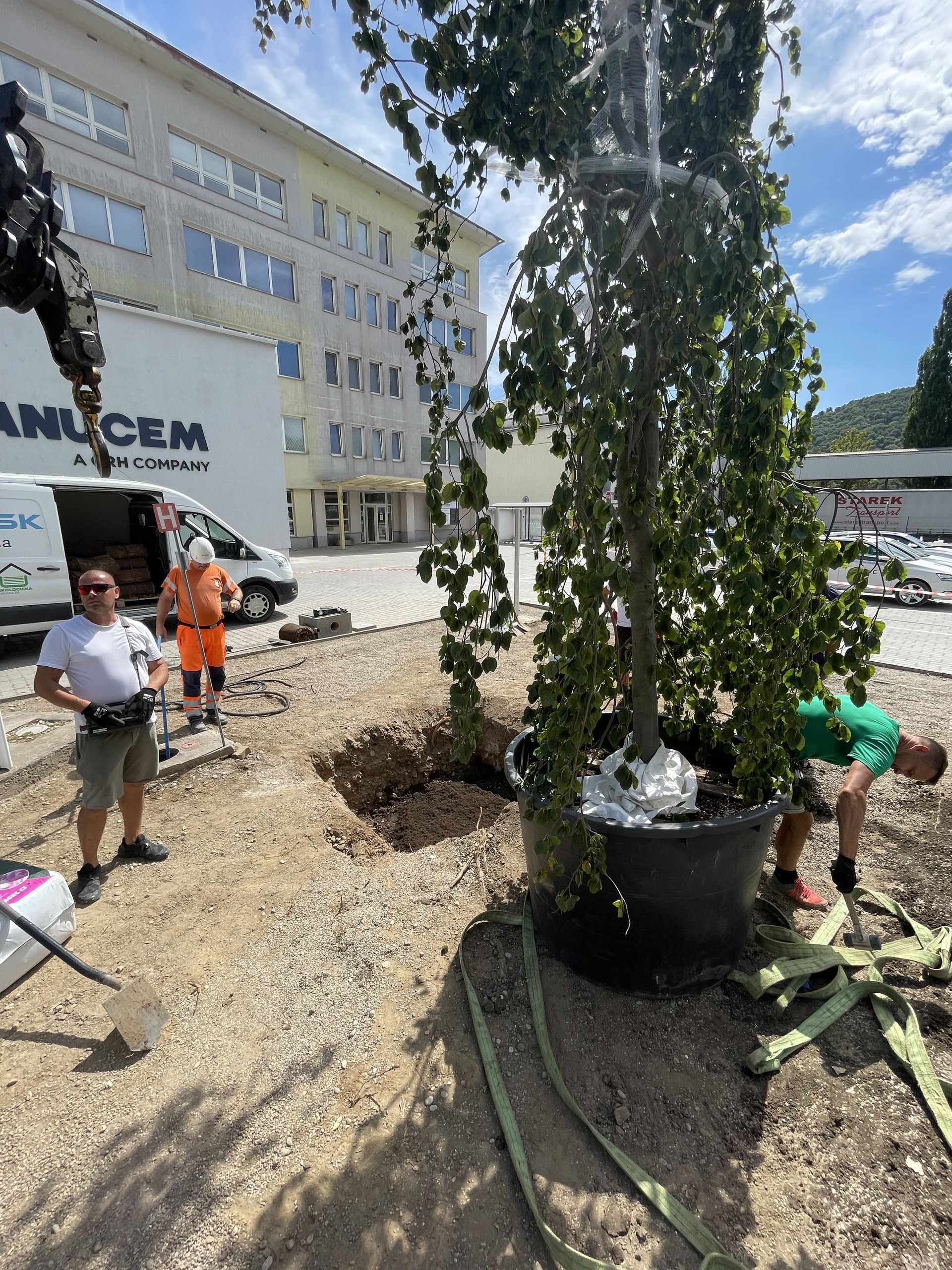 Extenzívna zelená strecha