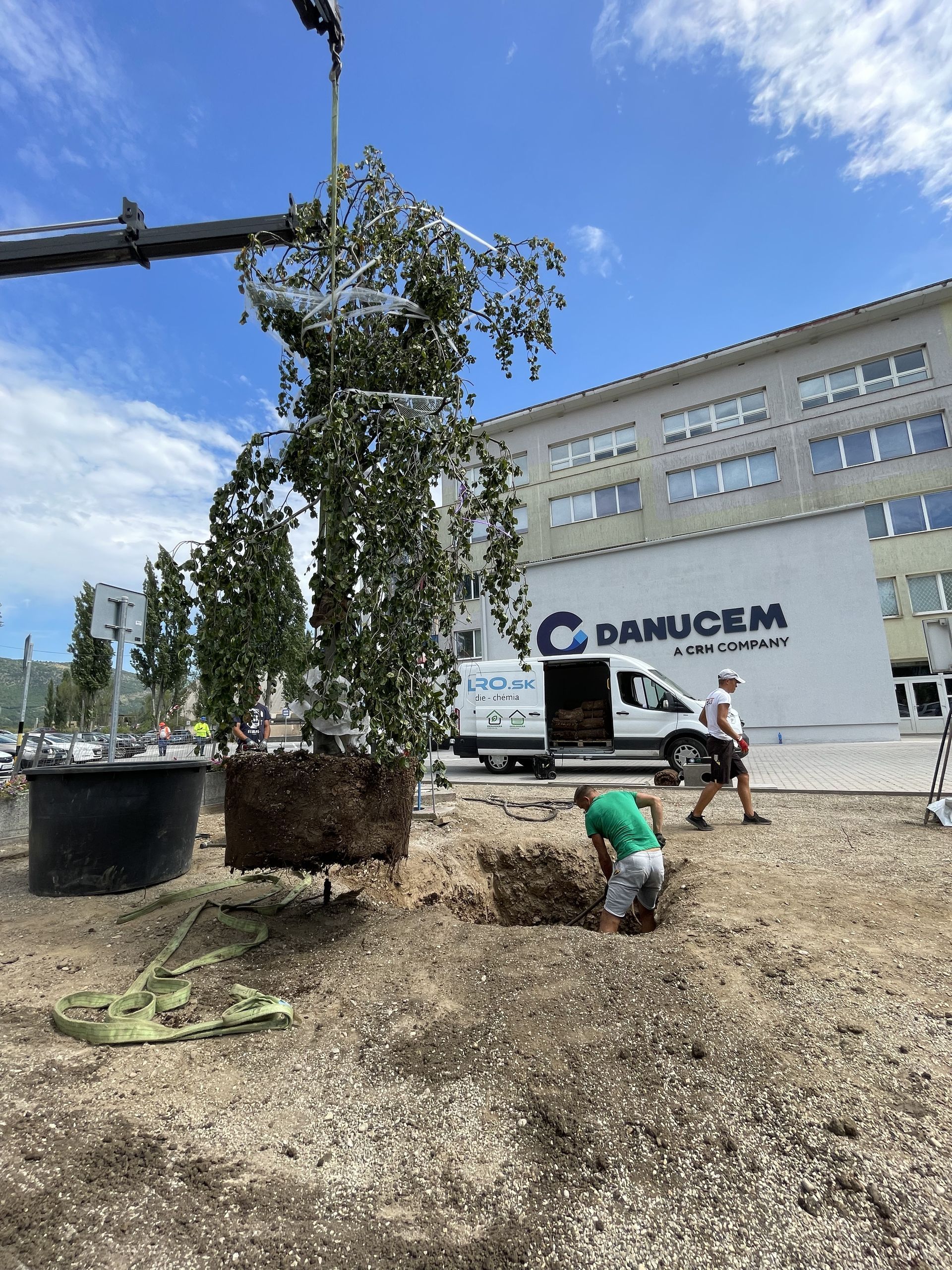 Extenzívna zelená strecha