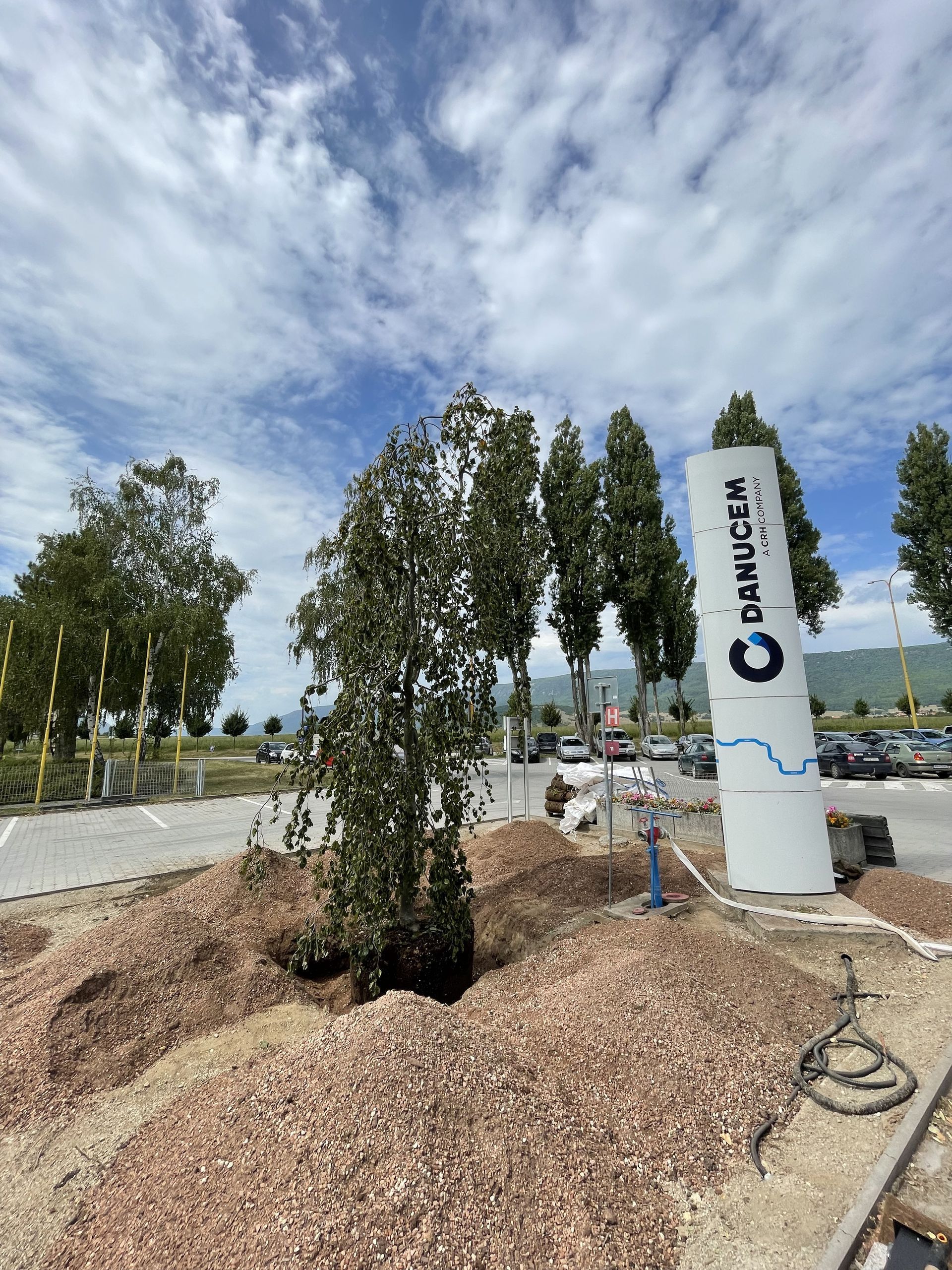 Extenzívna zelená strecha