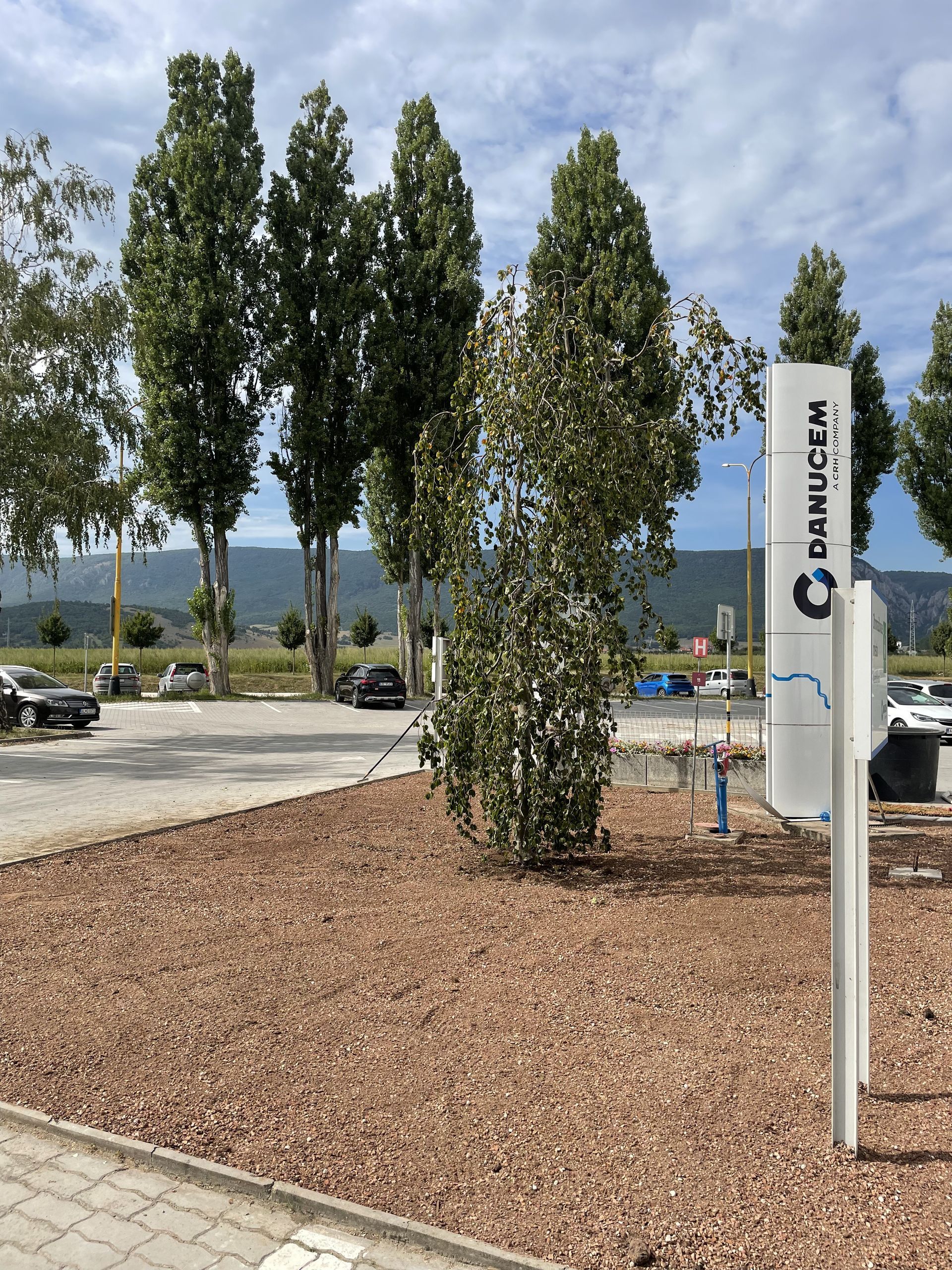 Extenzívna zelená strecha