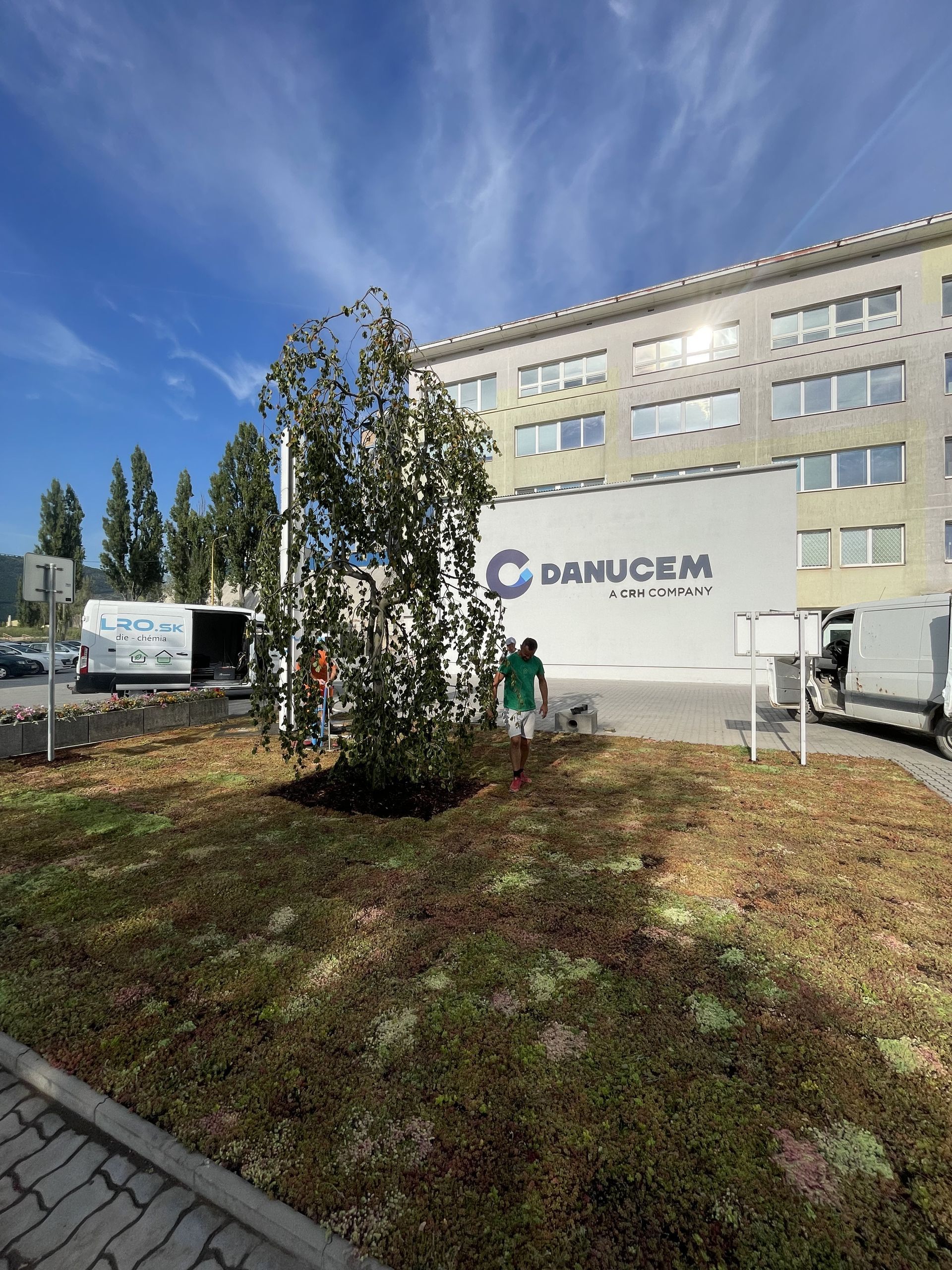 Extenzívna zelená strecha