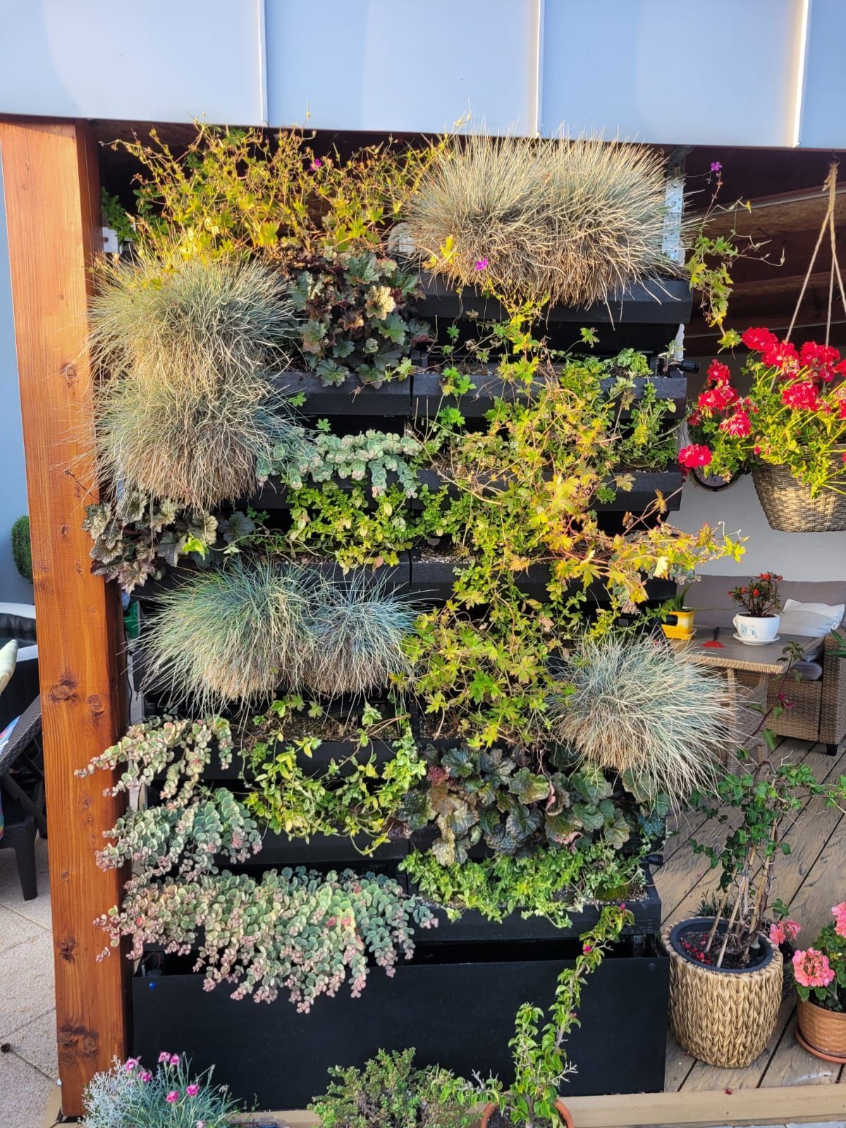 Exteriérové zelená fasáda