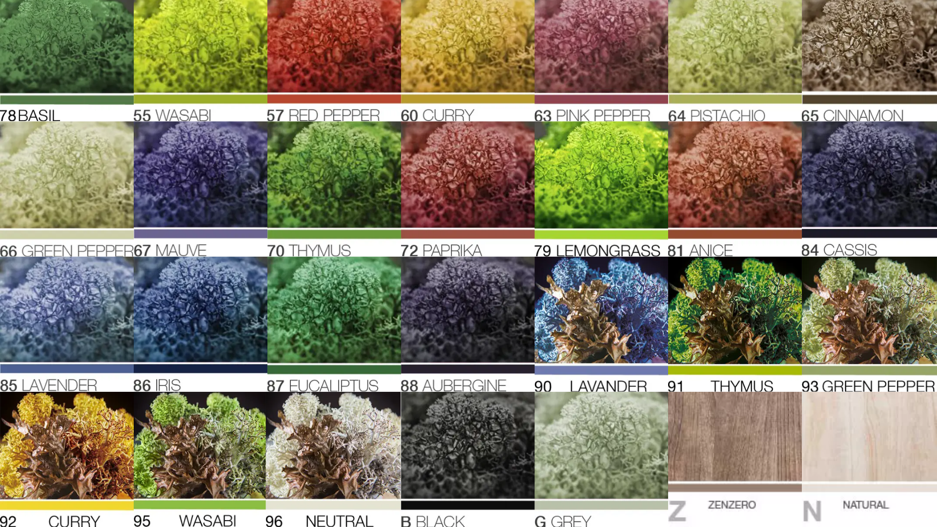 Zloženie zelenej steny