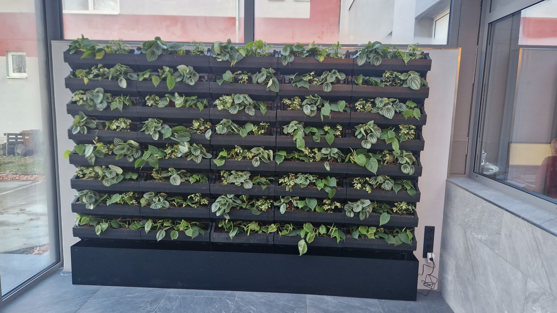 Zelená stena v interiéri - VSK Mineral - po realizácií