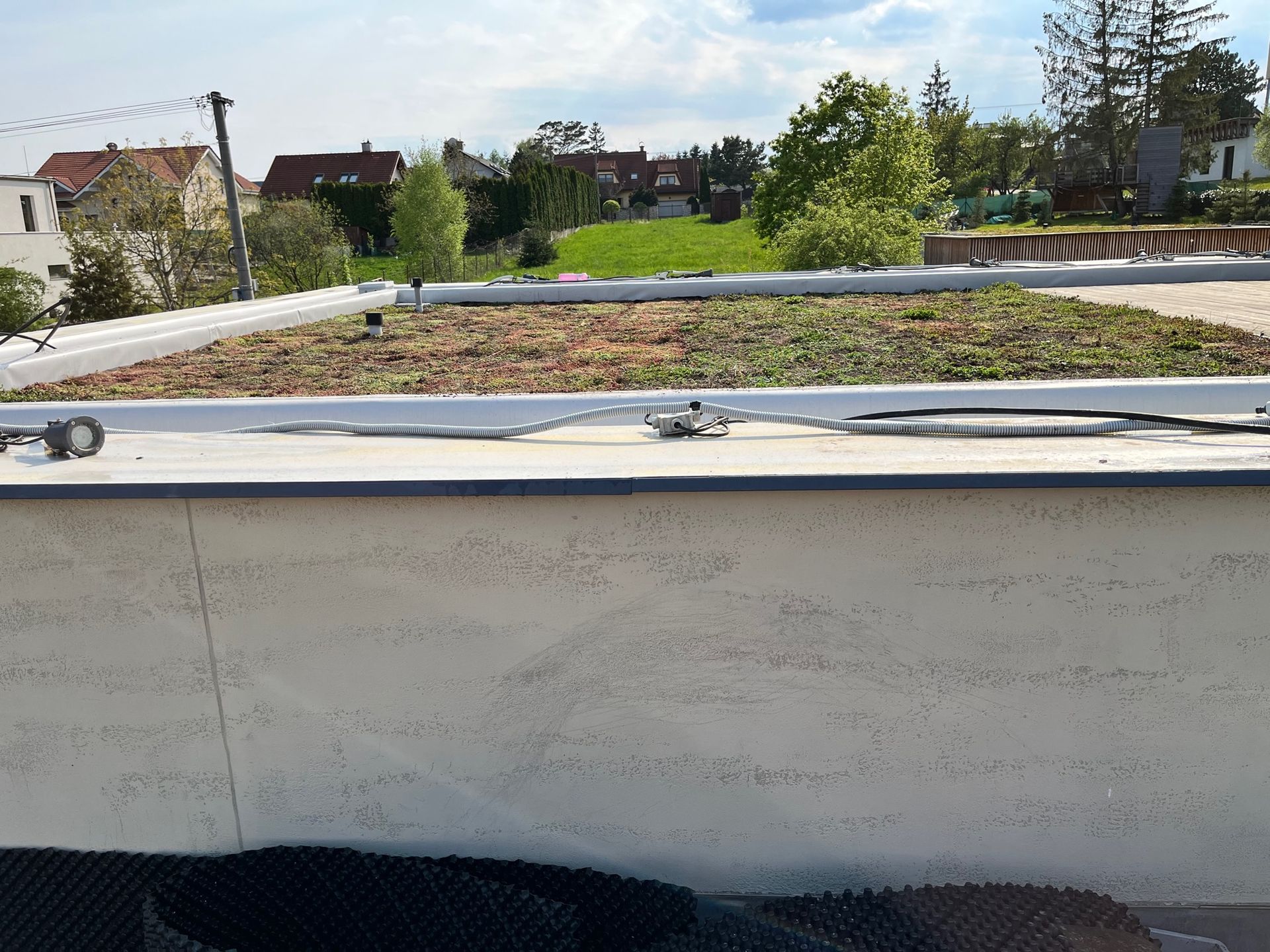 Extenzívna zelená strecha, Pereš