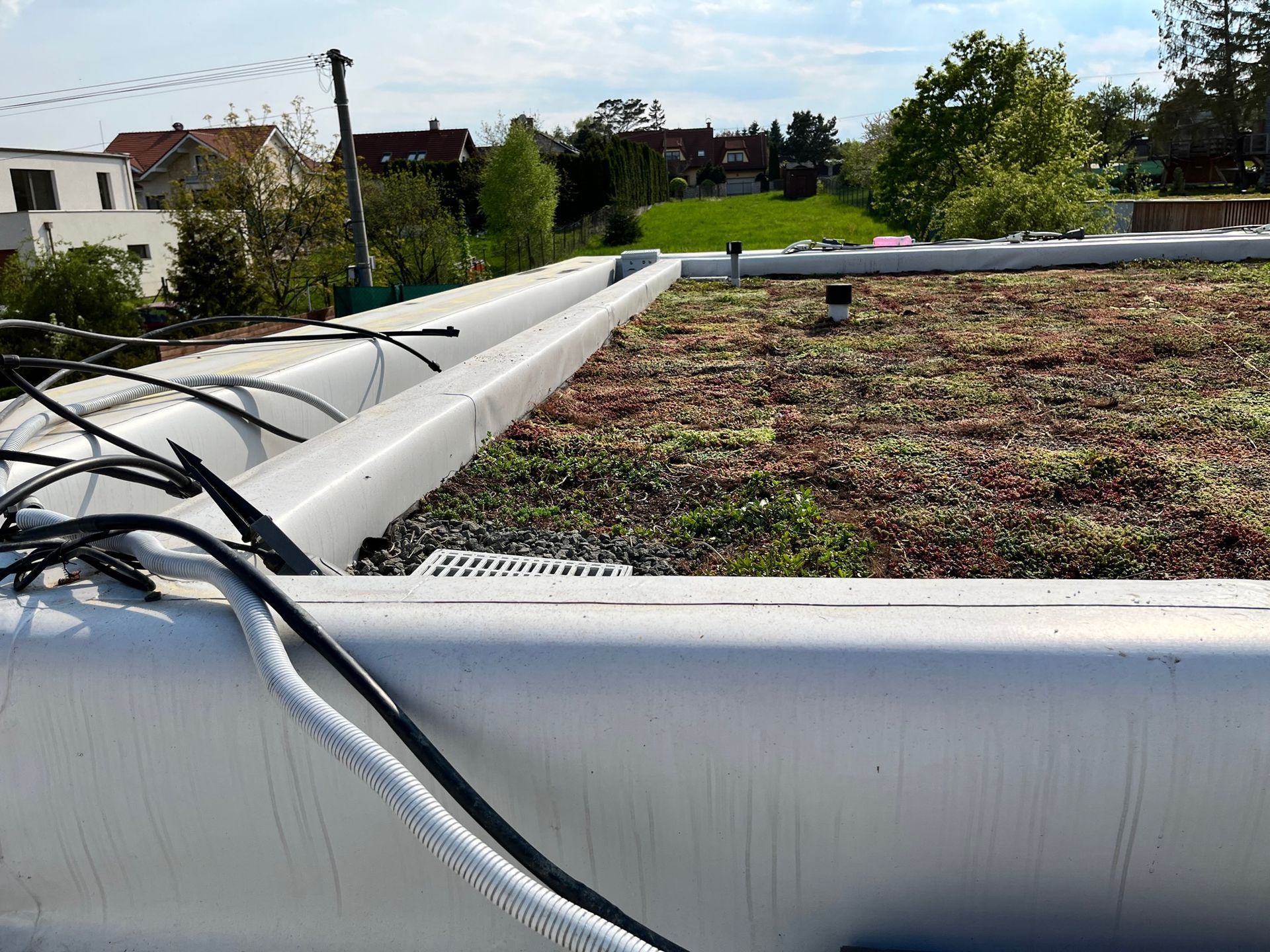 Extenzívna zelená strecha, Pereš