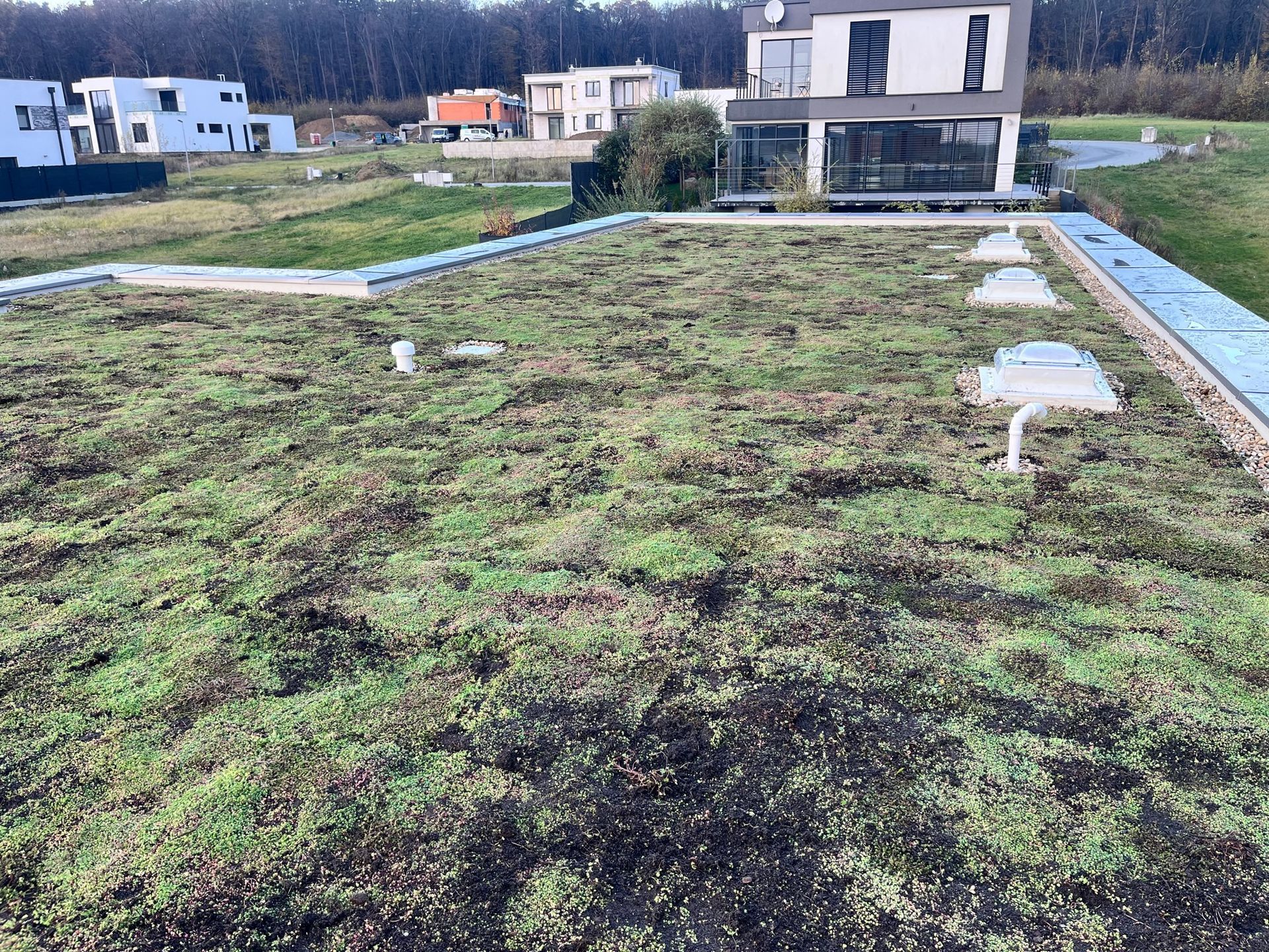 Extenzívna strecha, Malá Ida