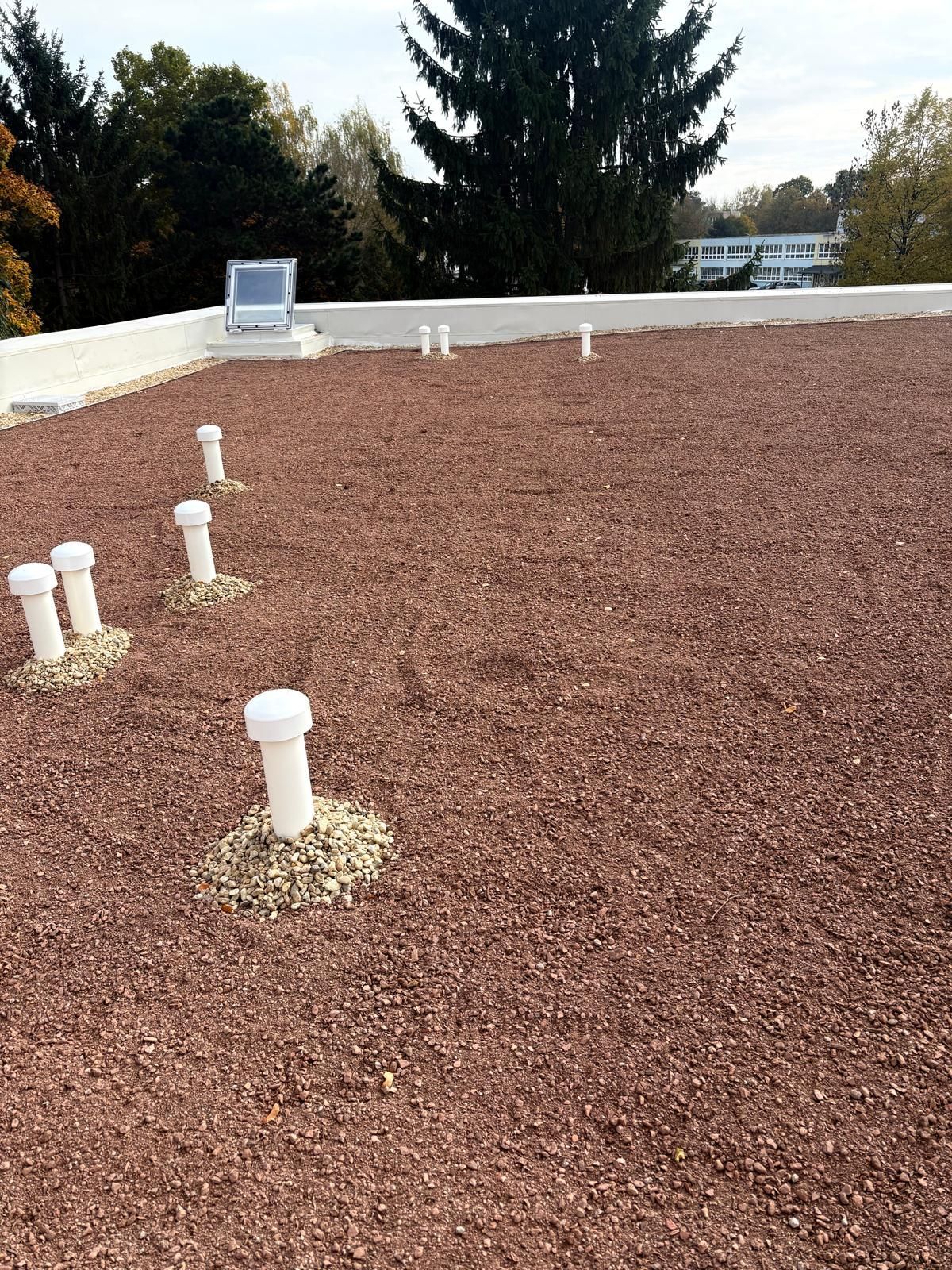 Extenzívna zelená strecha