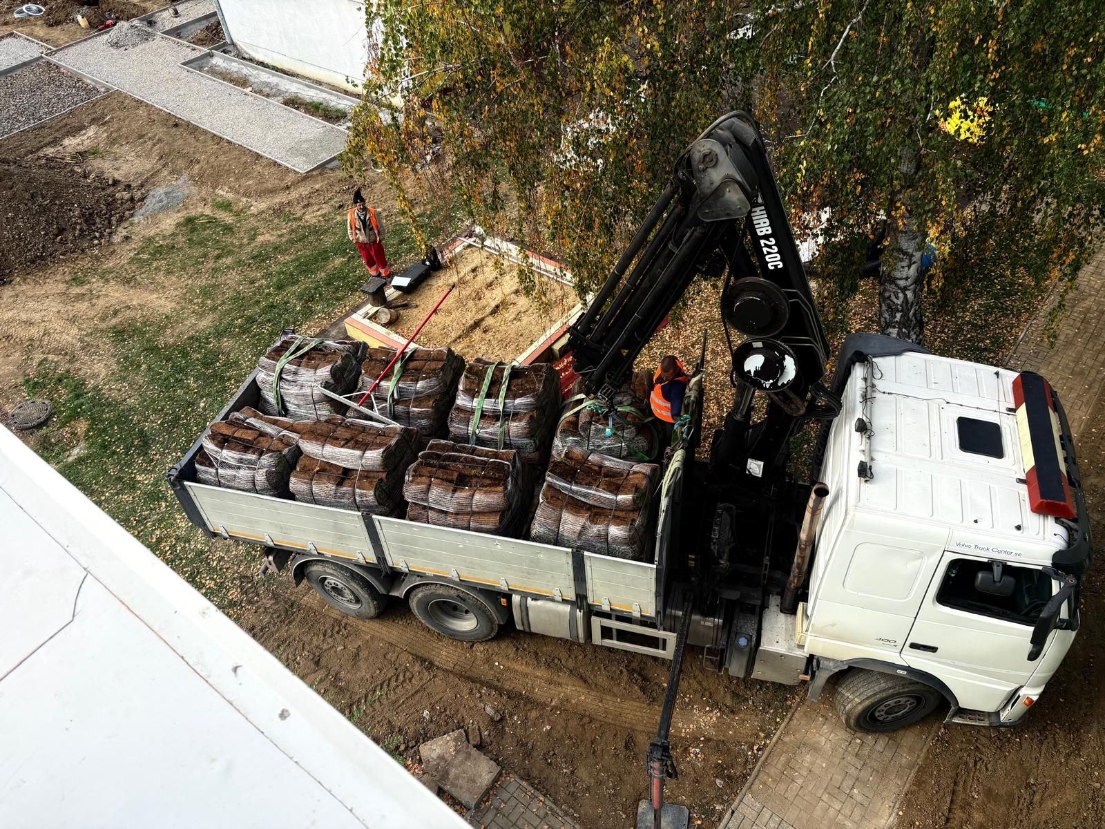 Extenzívna zelená strecha