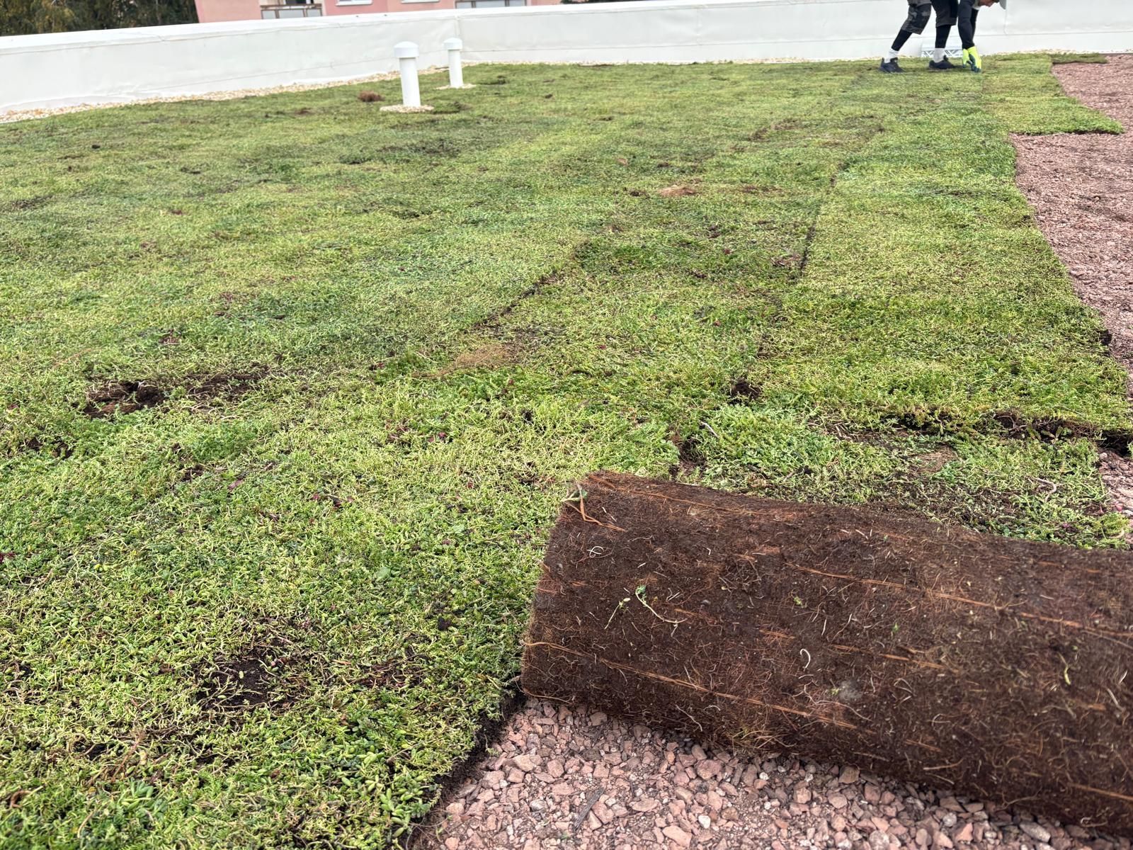 Extenzívna zelená strecha