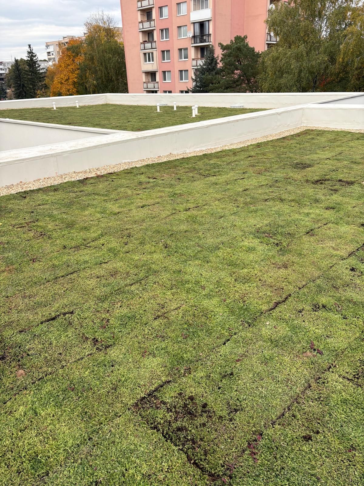 Extenzívna zelená strecha