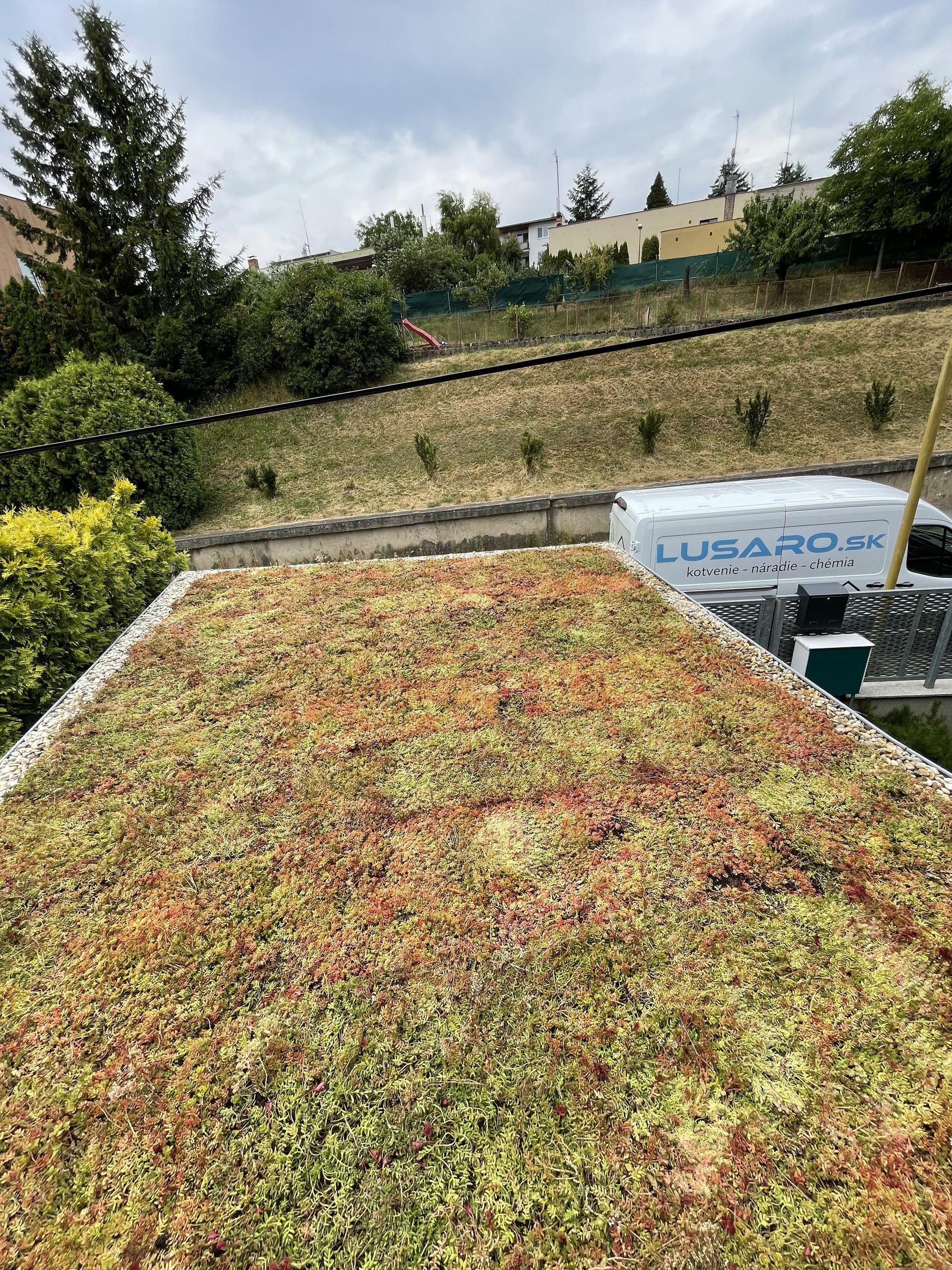 Extenzívna zelená strecha