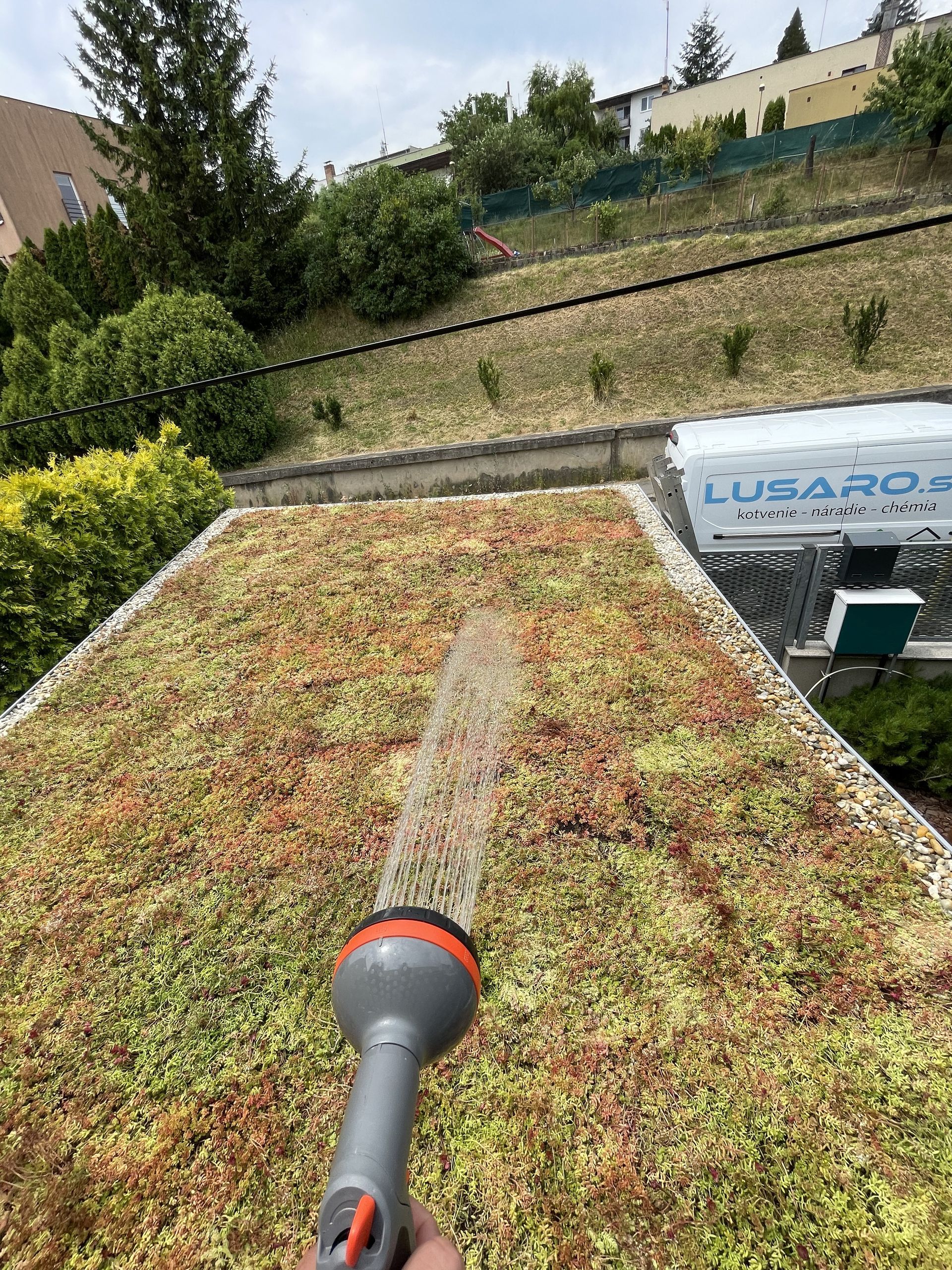 Extenzívna zelená strecha