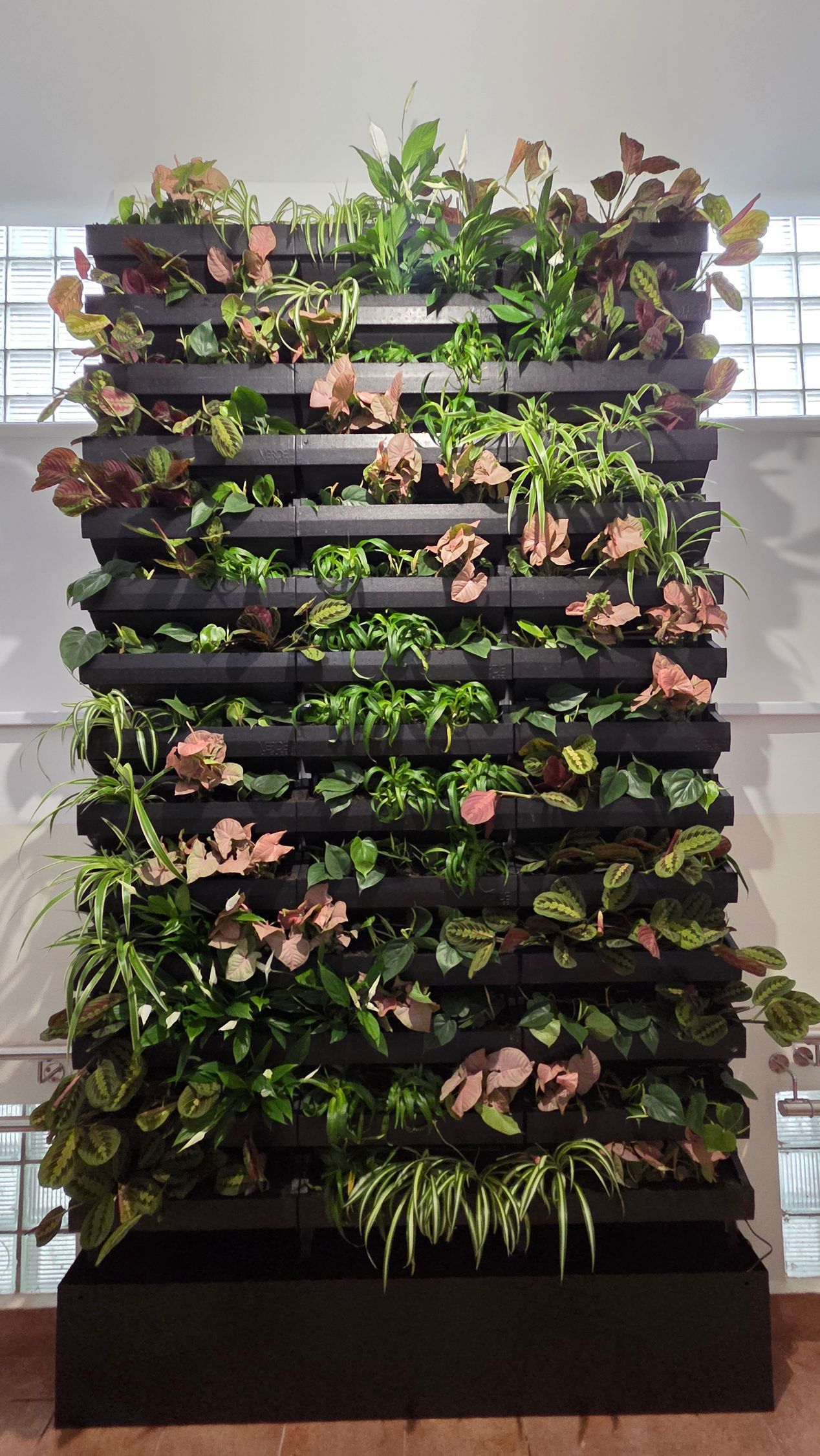 Zelená stena v interiéri