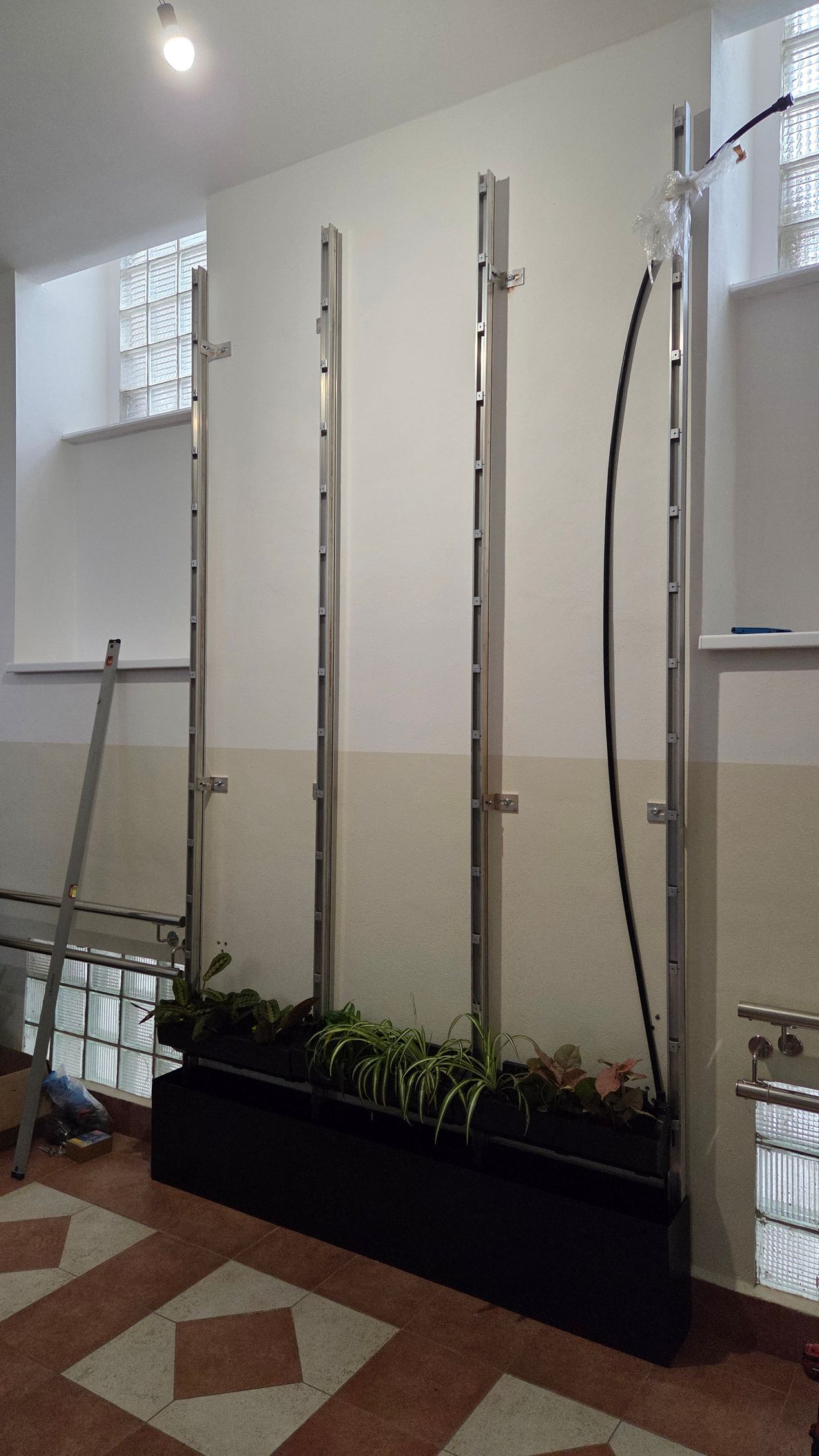 Zelená stena v interiéri