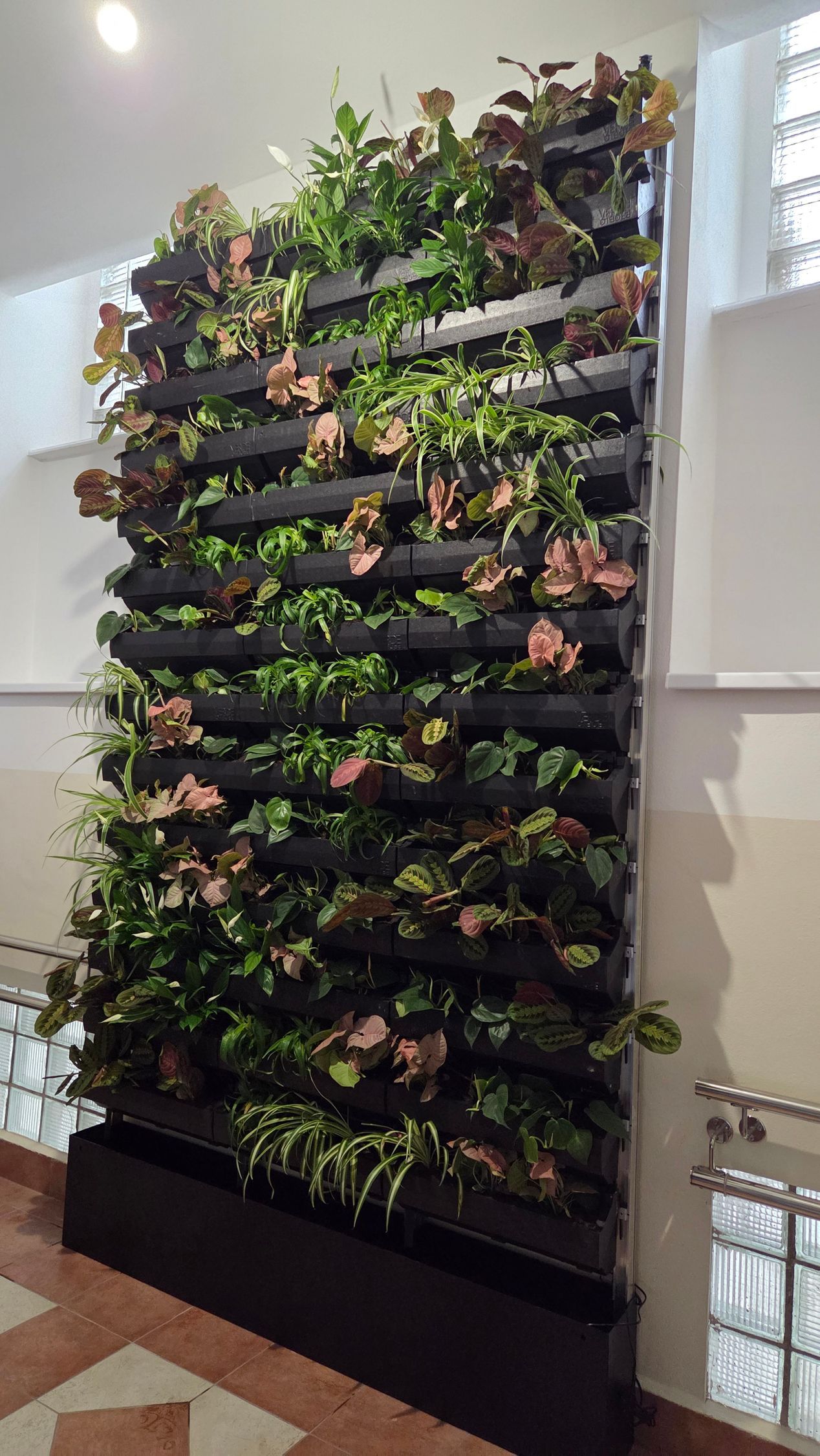 Zelená stena v interiéri