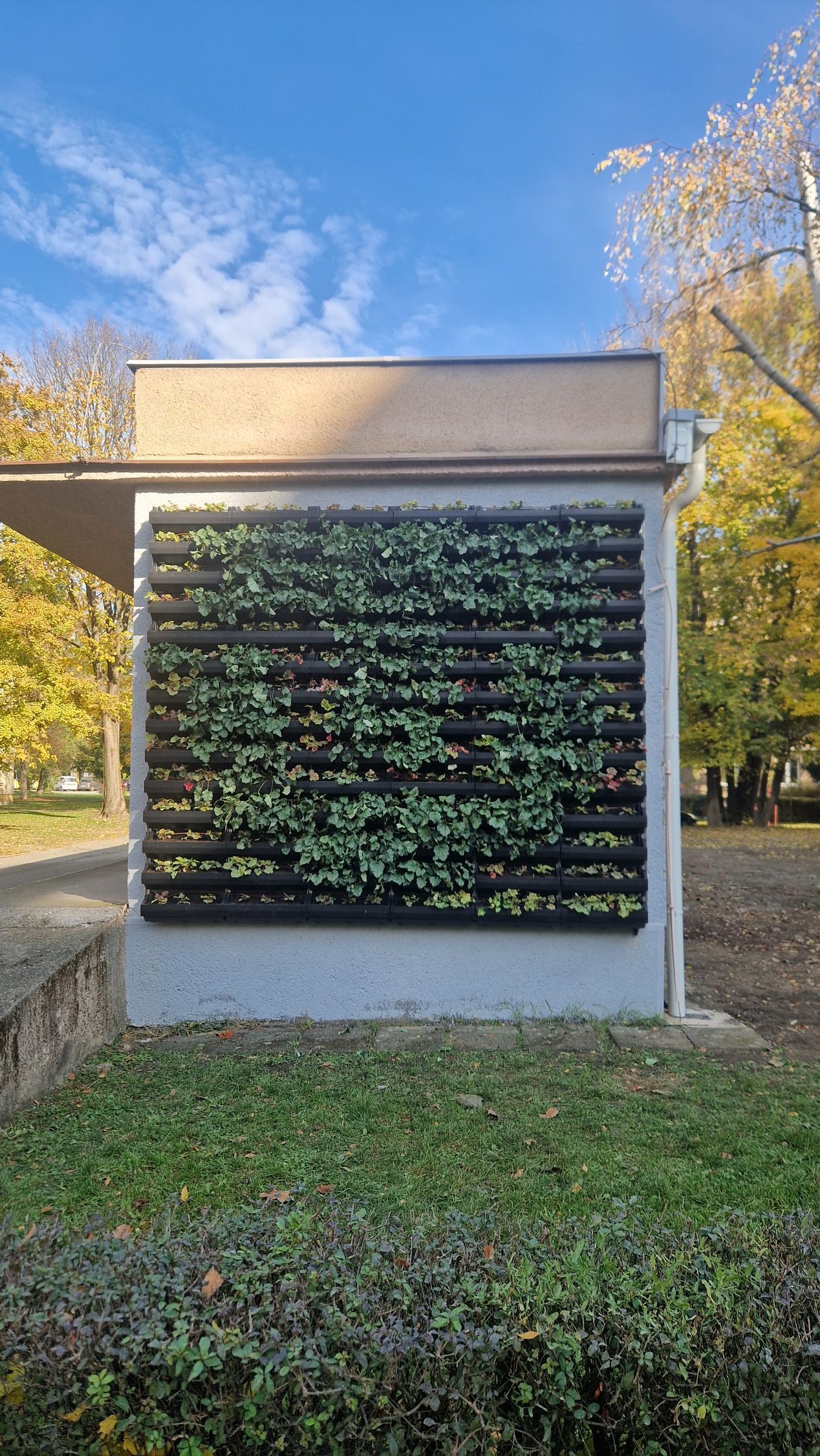 Zelaná fasáda, TUKE, Košice