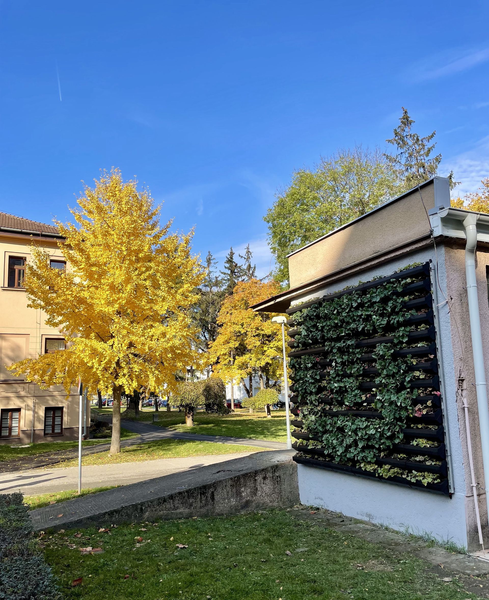 Zelená fasáda - TUKE