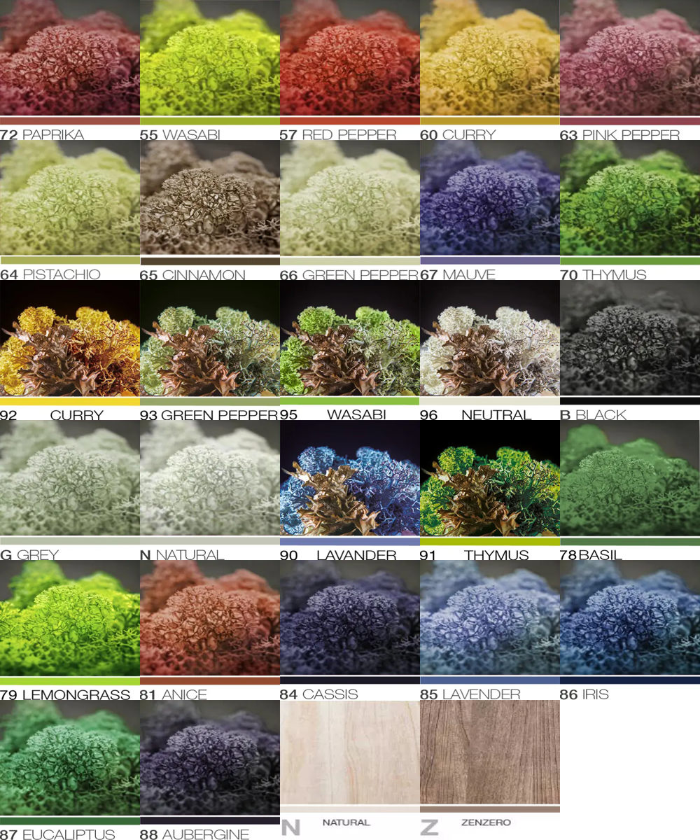 Machová stena MOSSwall