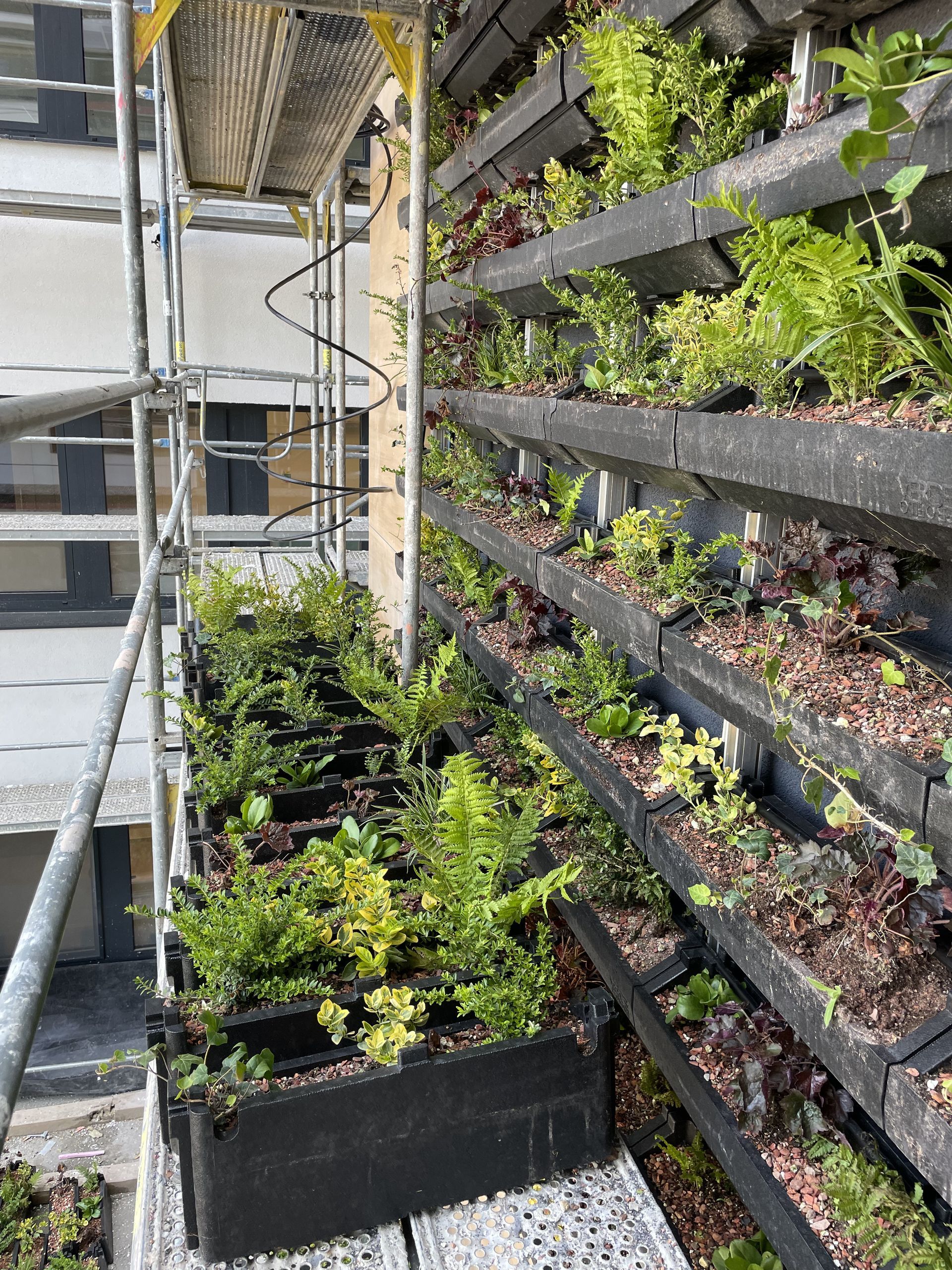 Exteriérové zelená fasáda