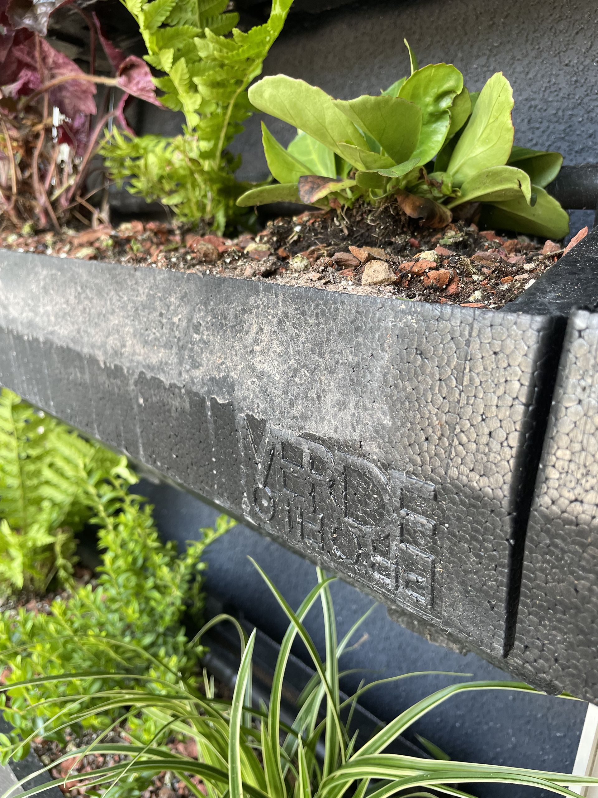 Exteriérové zelená fasáda