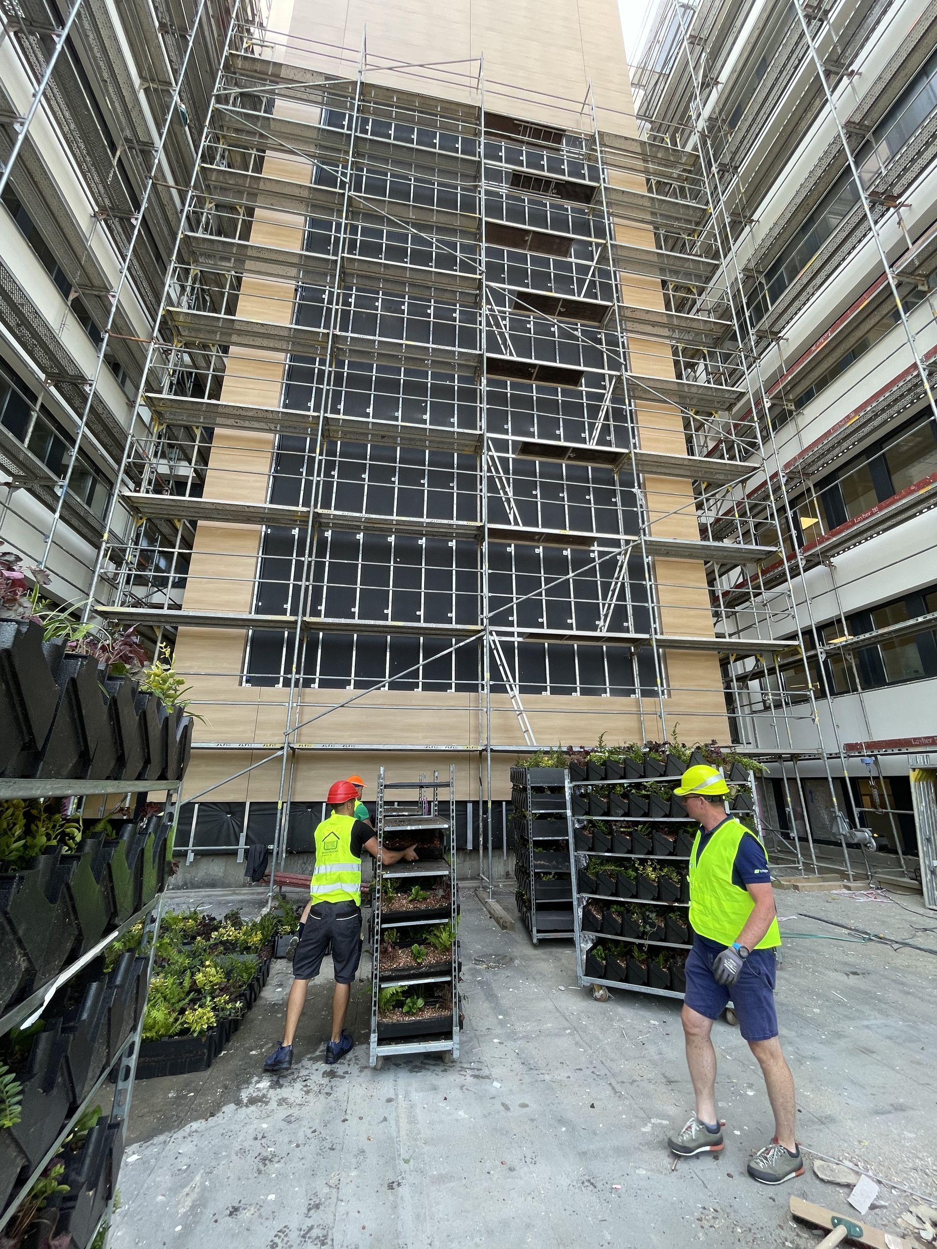 Exteriérové zelená fasáda