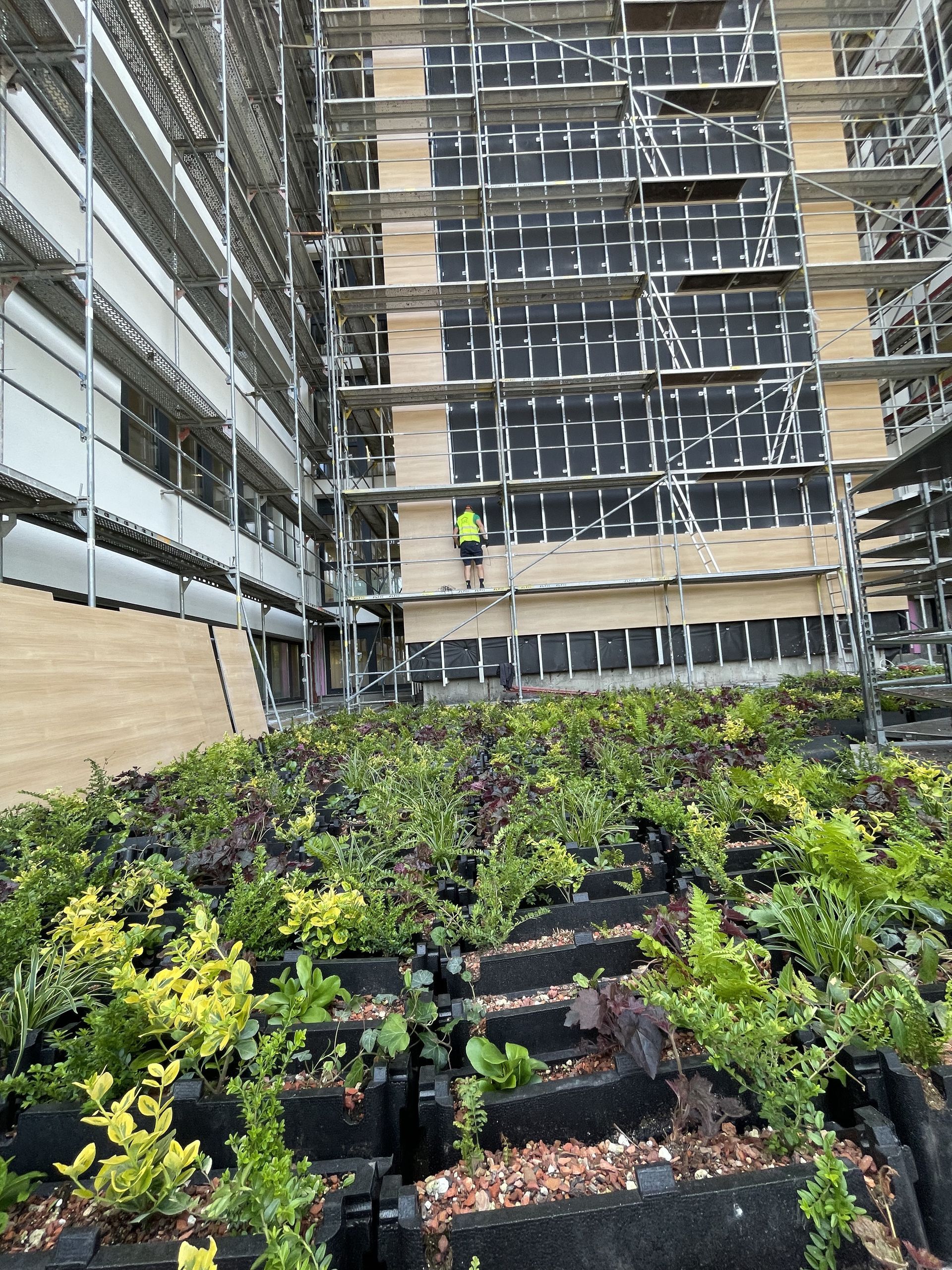 Exteriérové zelená fasáda