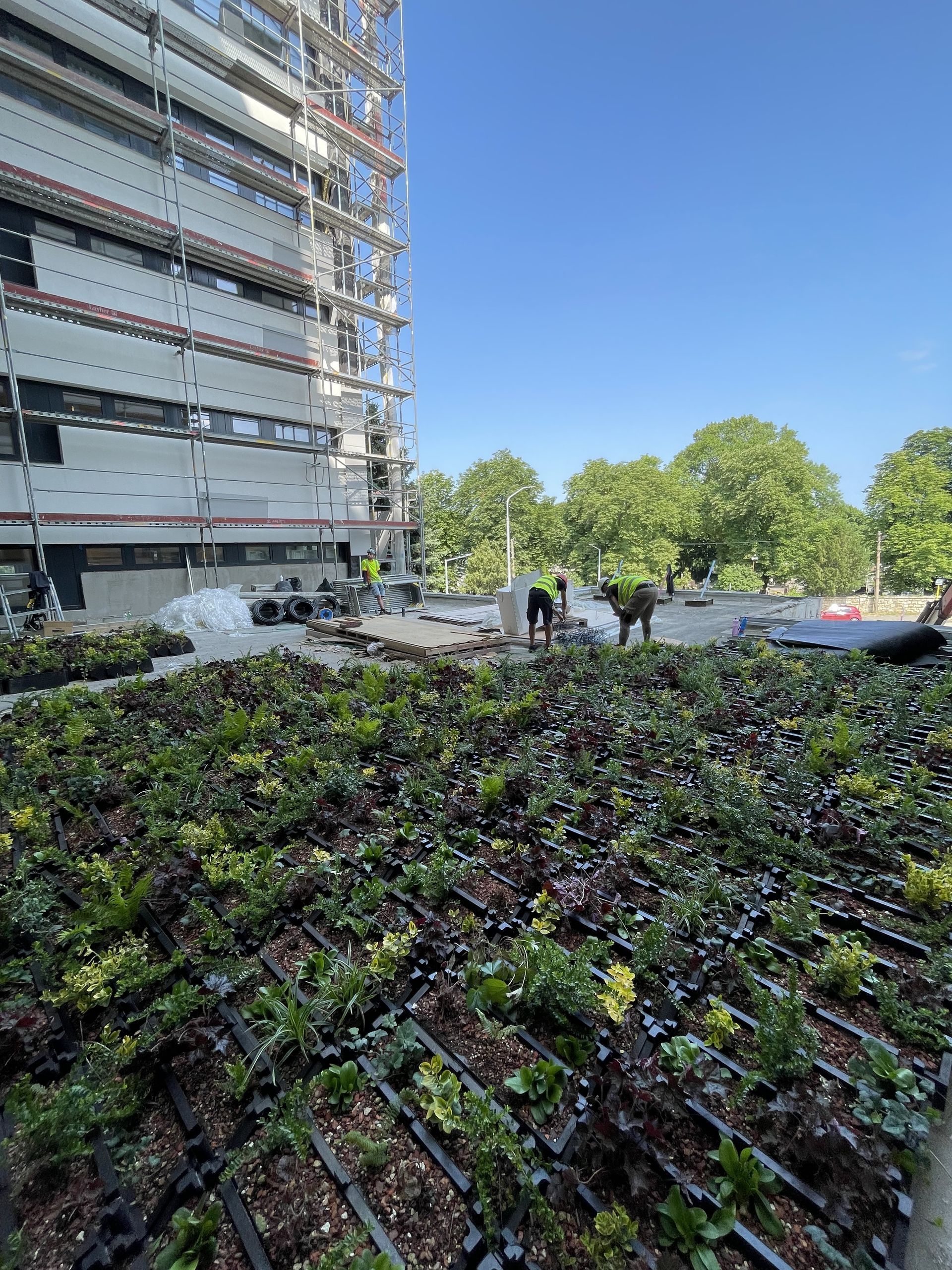 Exteriérové zelená fasáda