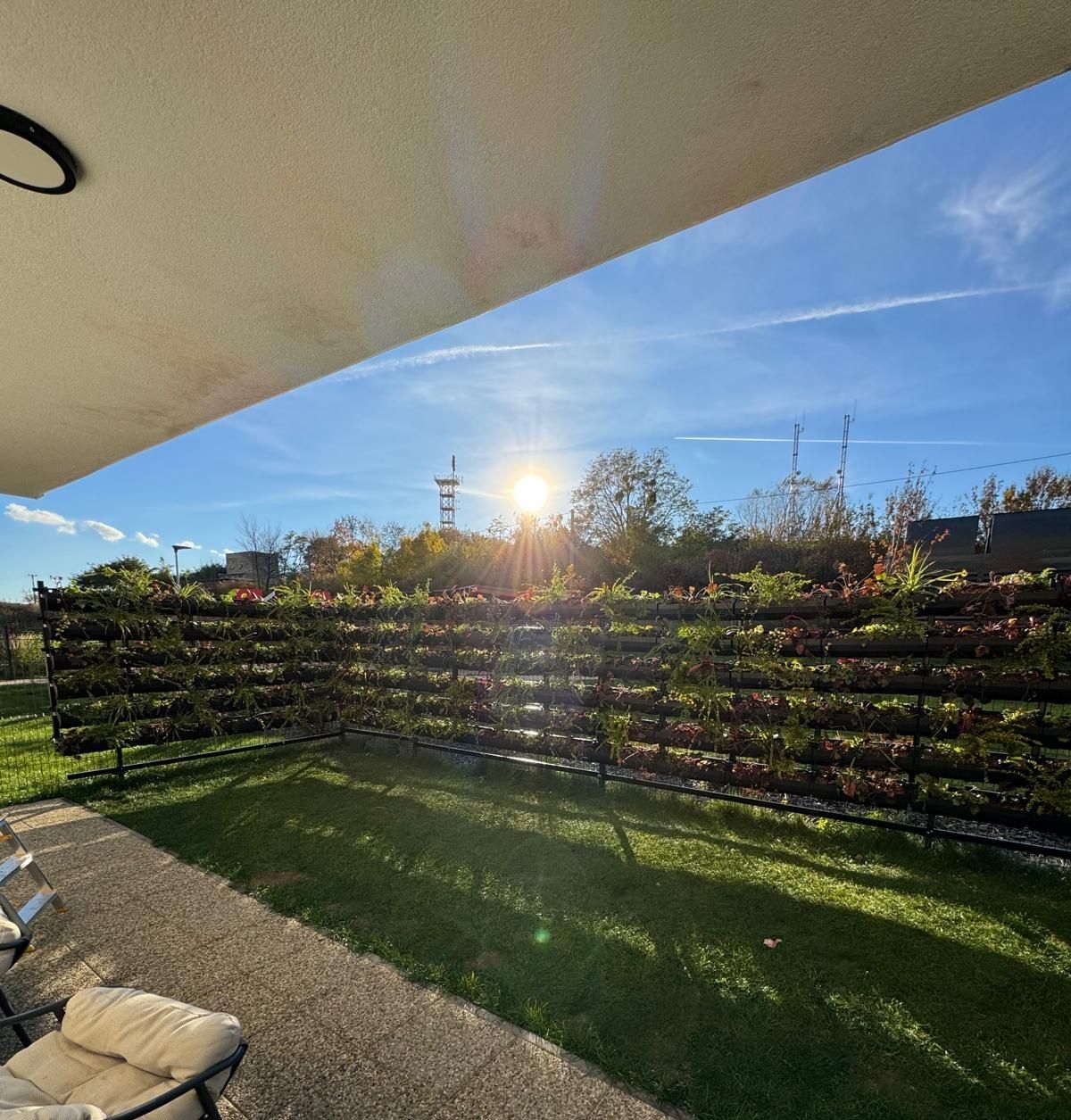 Zelená fasáda na plote, Zelená Stráň - Košice