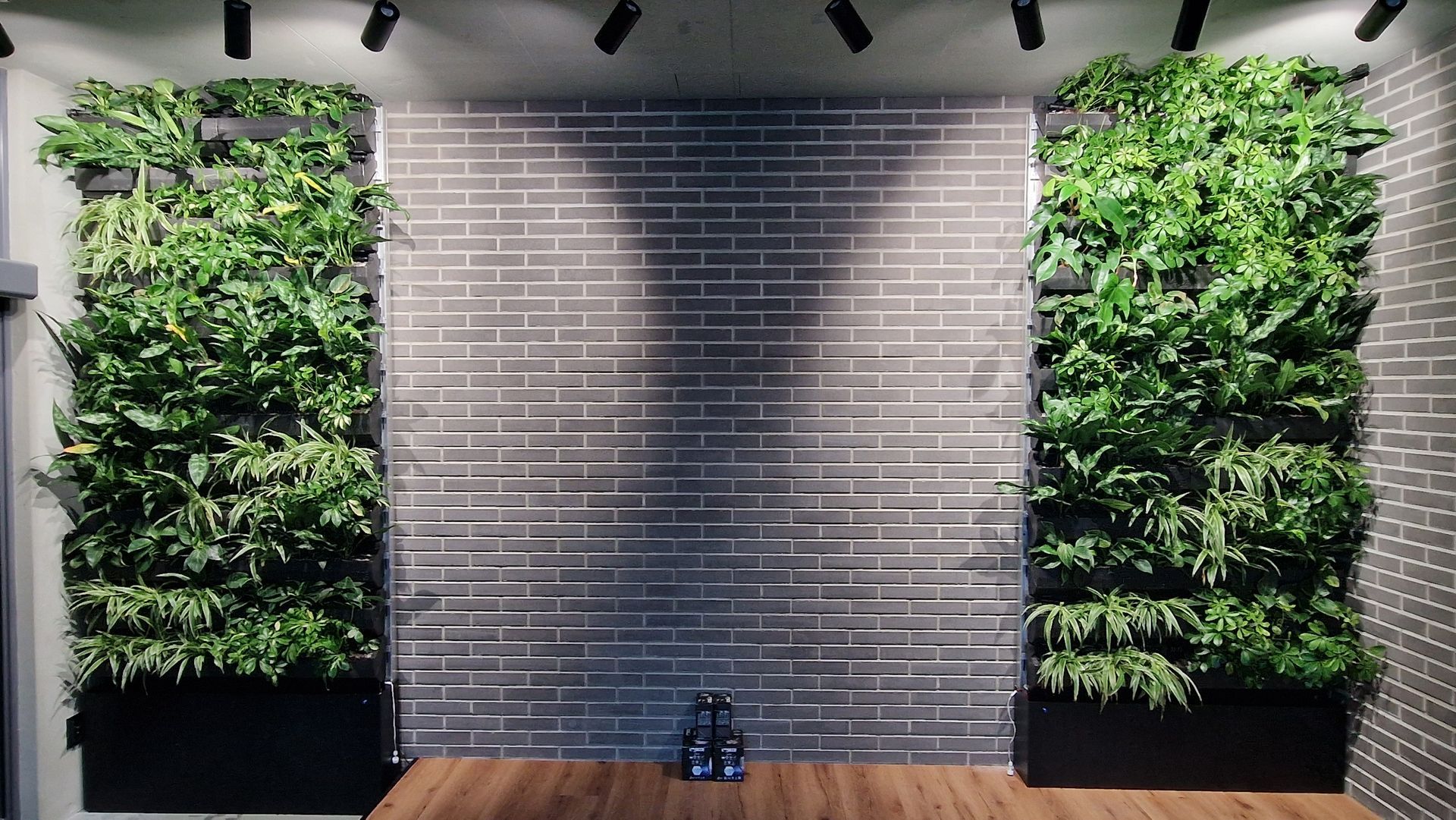 Zelená stena v interiéry - BCK Košice