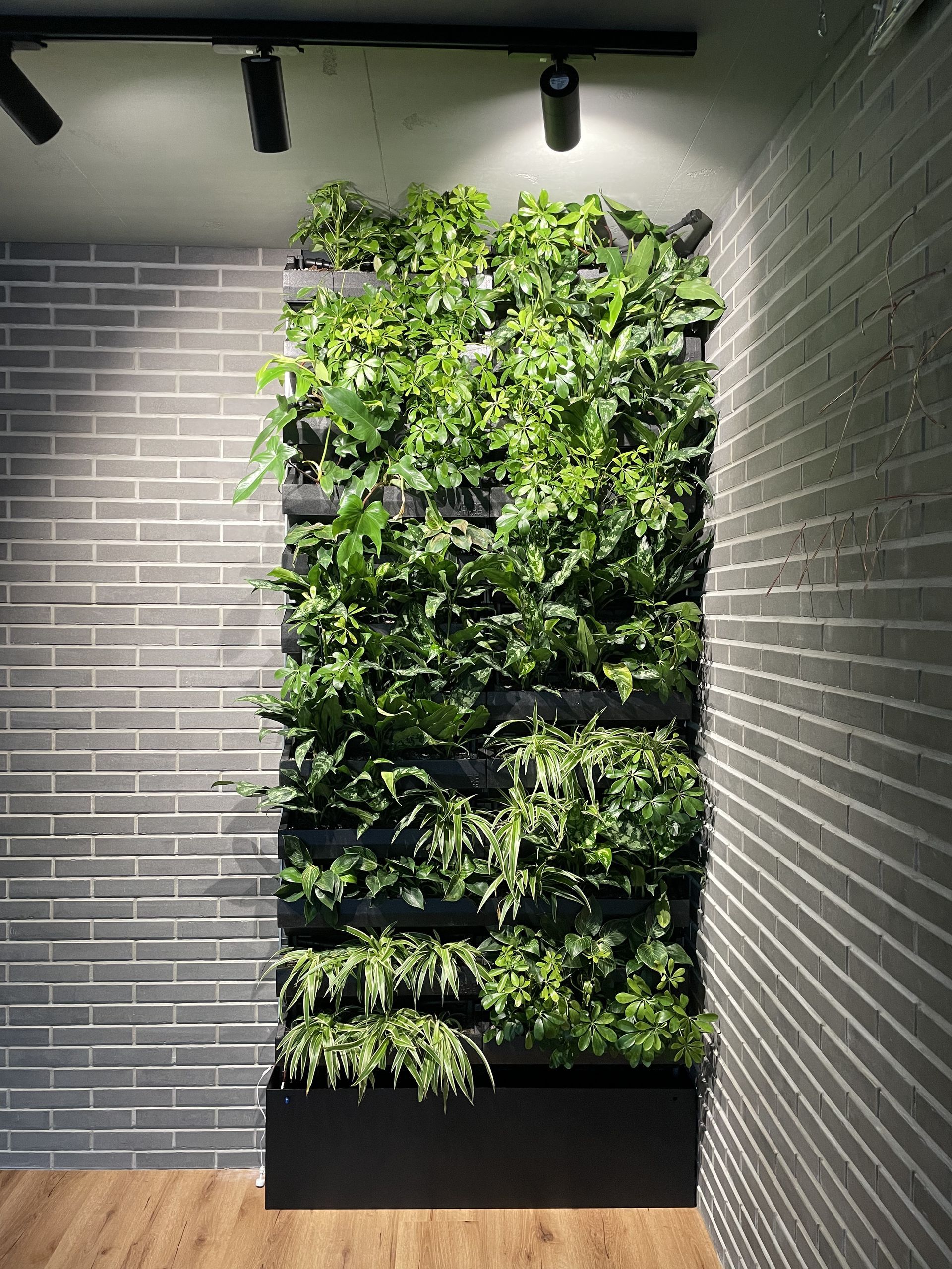 Zelená stena v interiéry - BCK Košice