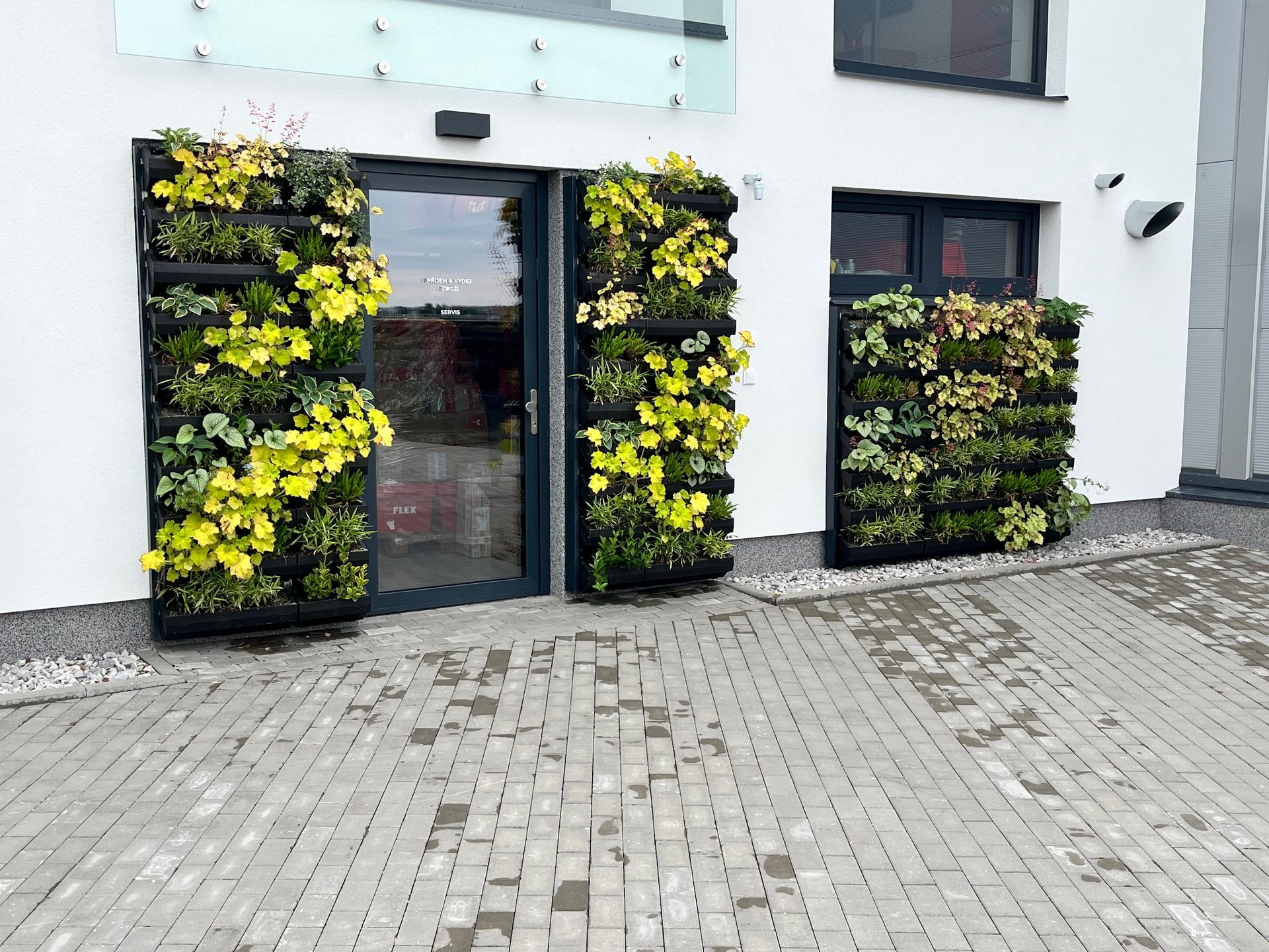 Zelená fasáda,  Flex Mladá Boleslav