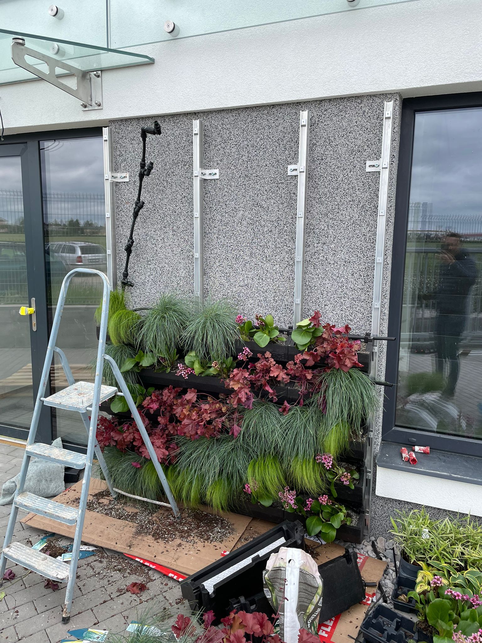 Zelená fasáda,  Flex Mladá Boleslav