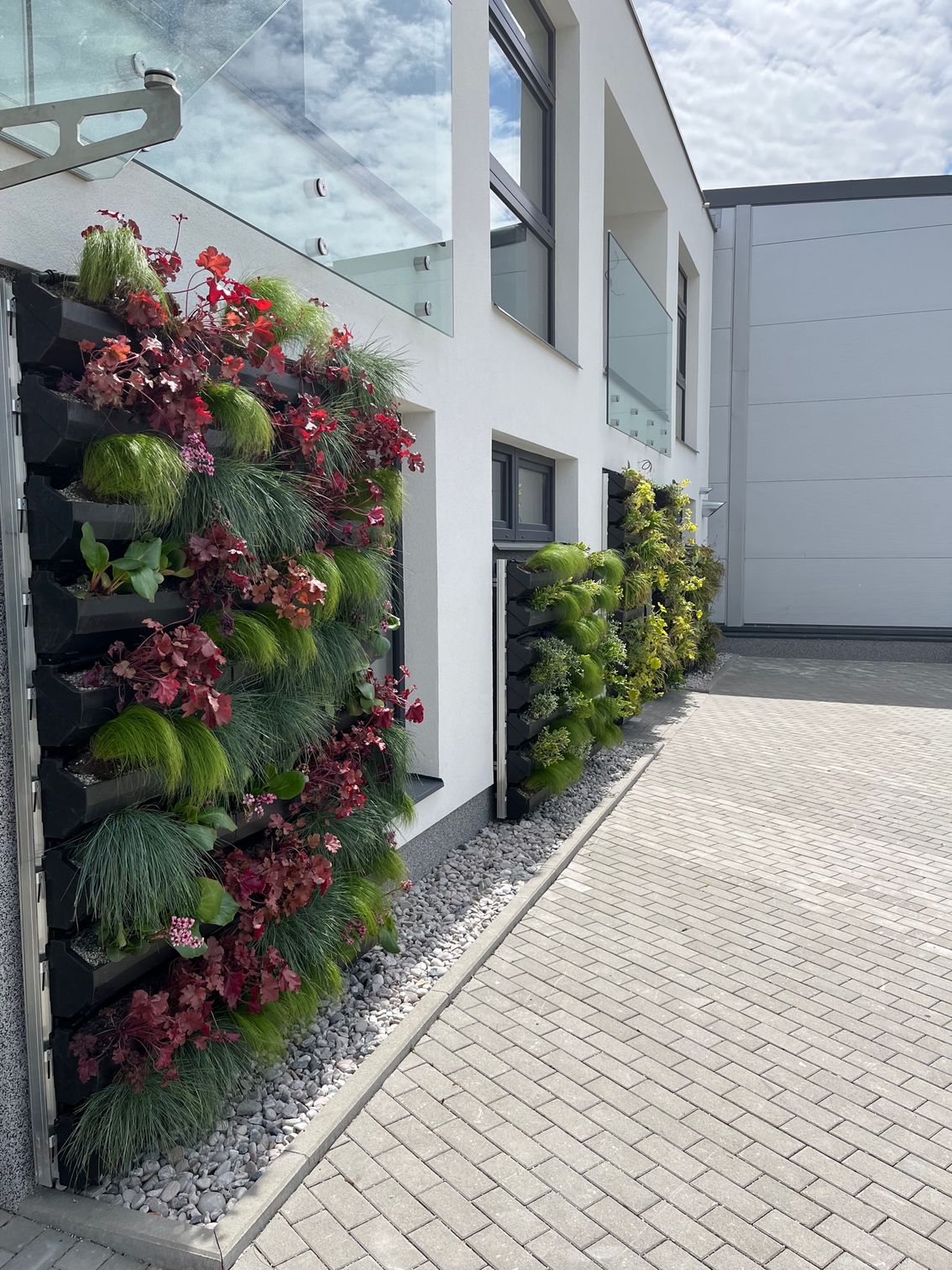 Zelená fasáda,  Flex Mladá Boleslav